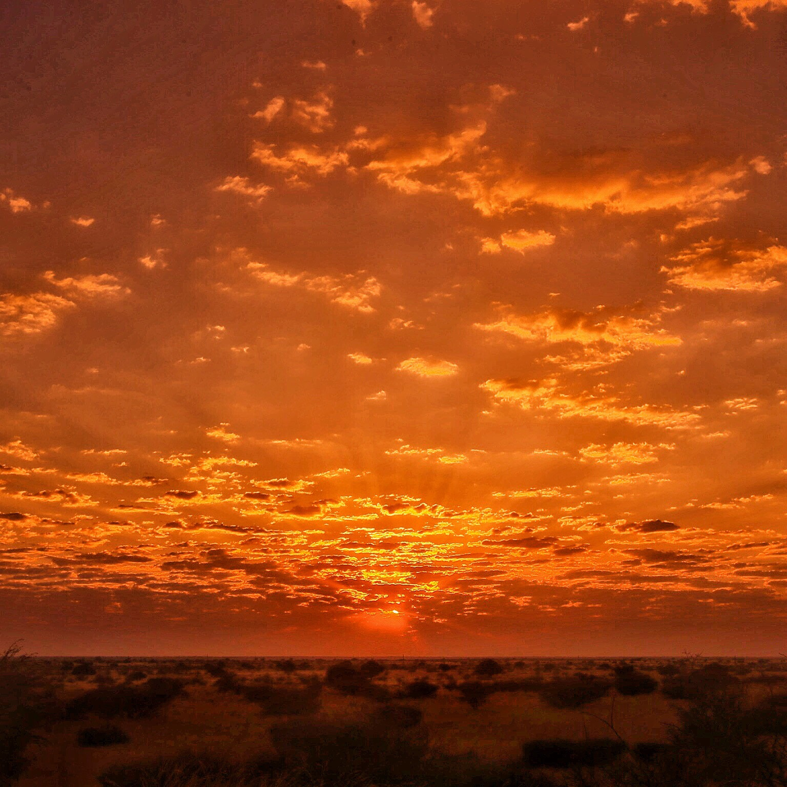 Canon EOS-1D X + Canon EF 16-35mm F2.8L USM sample photo. Kenya sunrise photography
