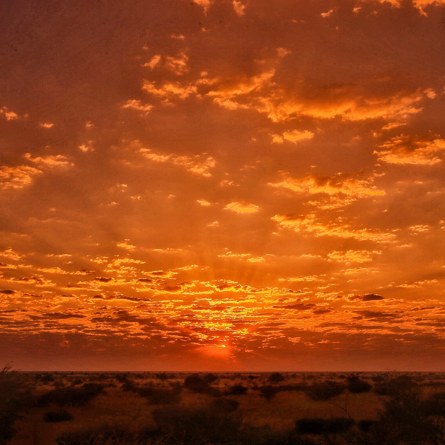 Canon EF 16-35mm F2.8L USM sample photo. Kenya sunrise photography