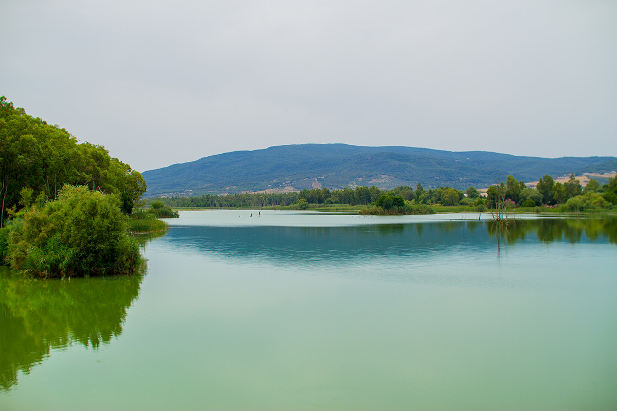 Canon EOS 7D + Sigma 30mm f/1.4 DC HSM sample photo. Mirage photography