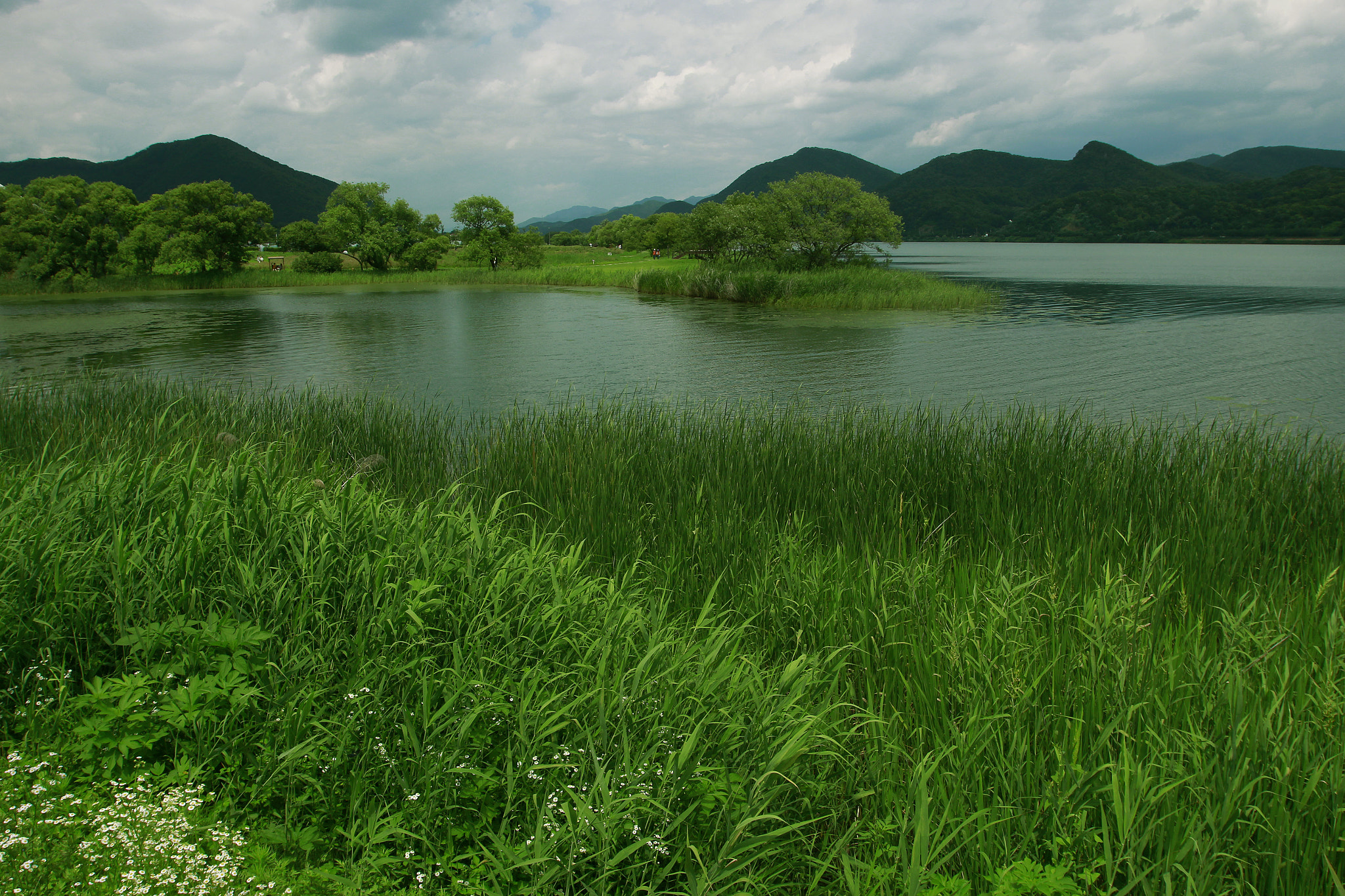 Canon EOS 60D + Canon EF 16-35mm F2.8L USM sample photo