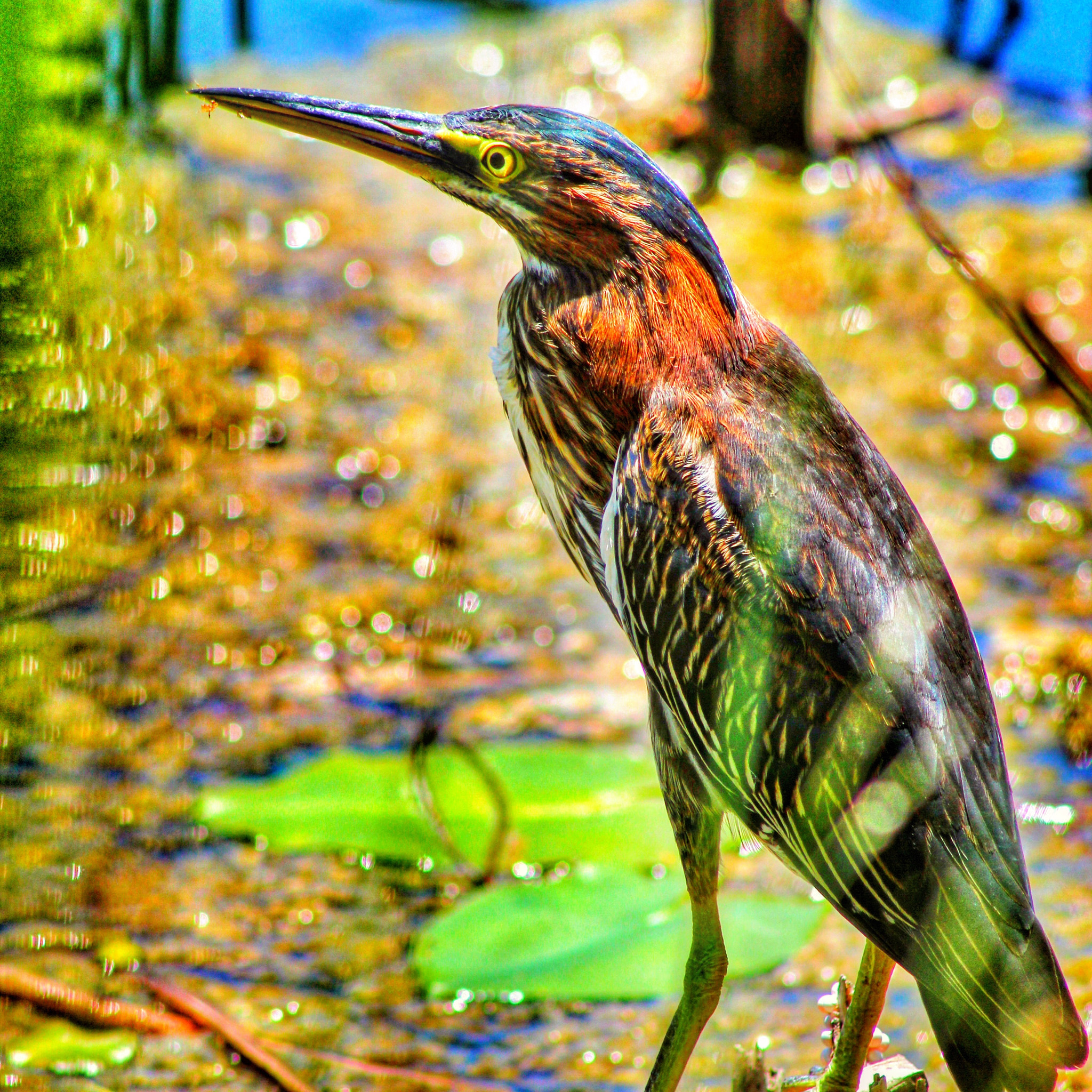 Canon EF75-300mm f/4-5.6 sample photo. Gone fishin photography