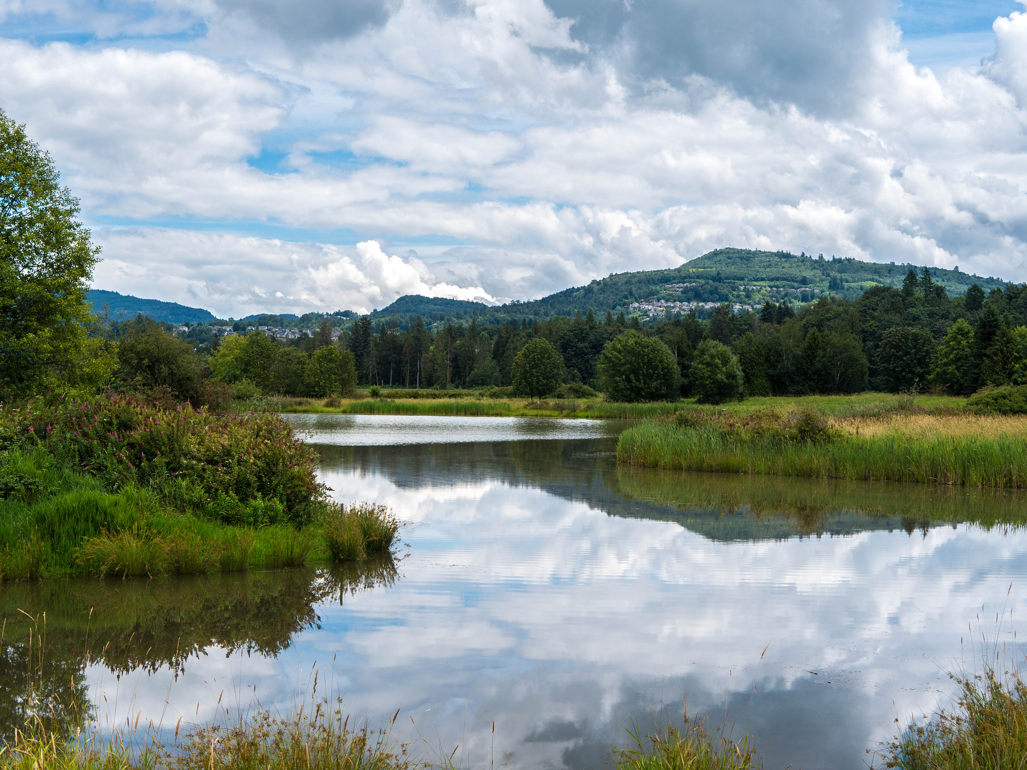 Panasonic Lumix DMC-GX8 + LUMIX G 25/F1.7 sample photo. Willband creek photography