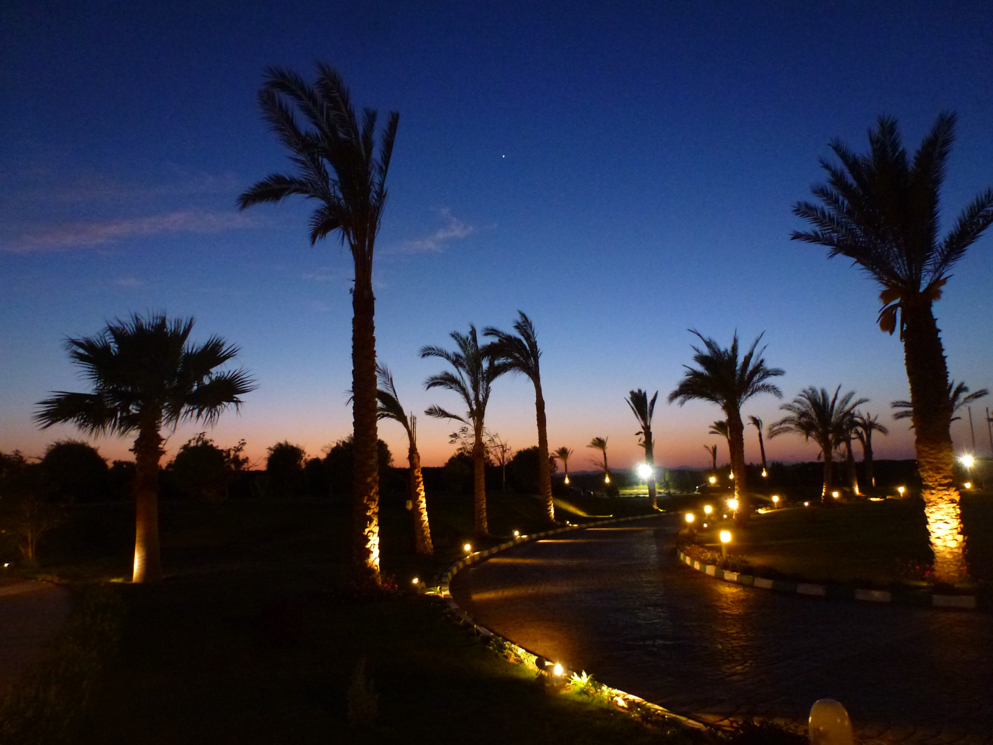 Panasonic DMC-ZS10 sample photo. Nubian nights photography