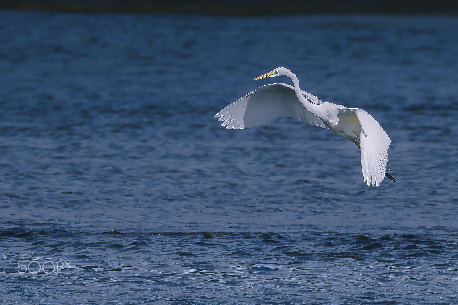 Nikon AF-S Nikkor 400mm F2.8G ED VR II sample photo. Sagi photography