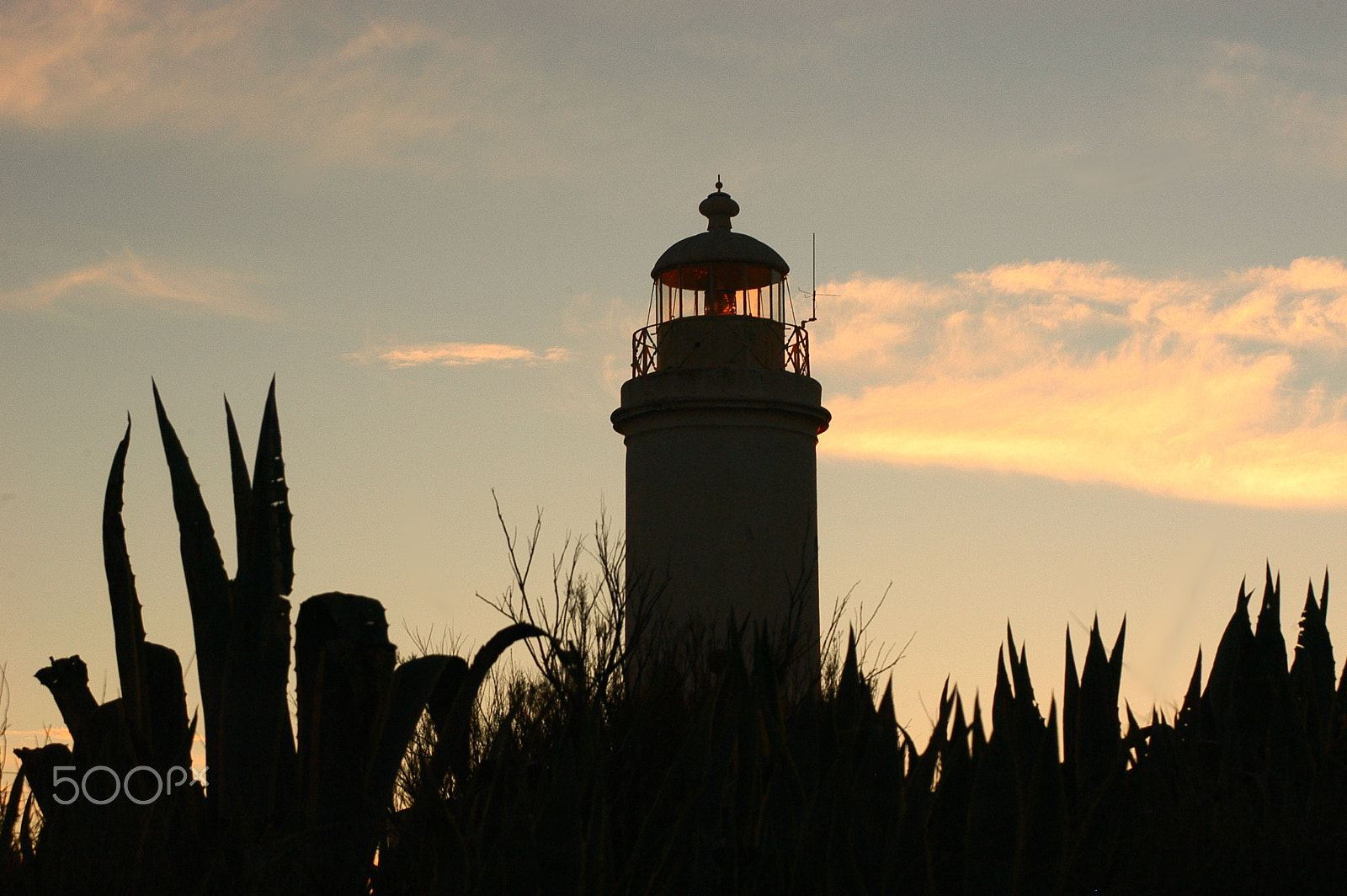 AF Zoom-Nikkor 35-70mm f/3.3-4.5 N sample photo. Faro photography