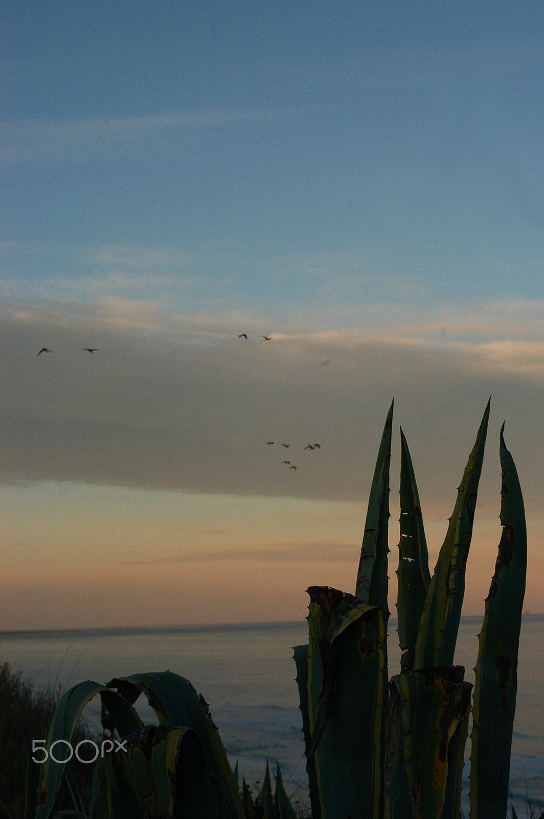 Nikon D100 + AF Zoom-Nikkor 35-70mm f/3.3-4.5 N sample photo. Sunset, calm, sea. photography