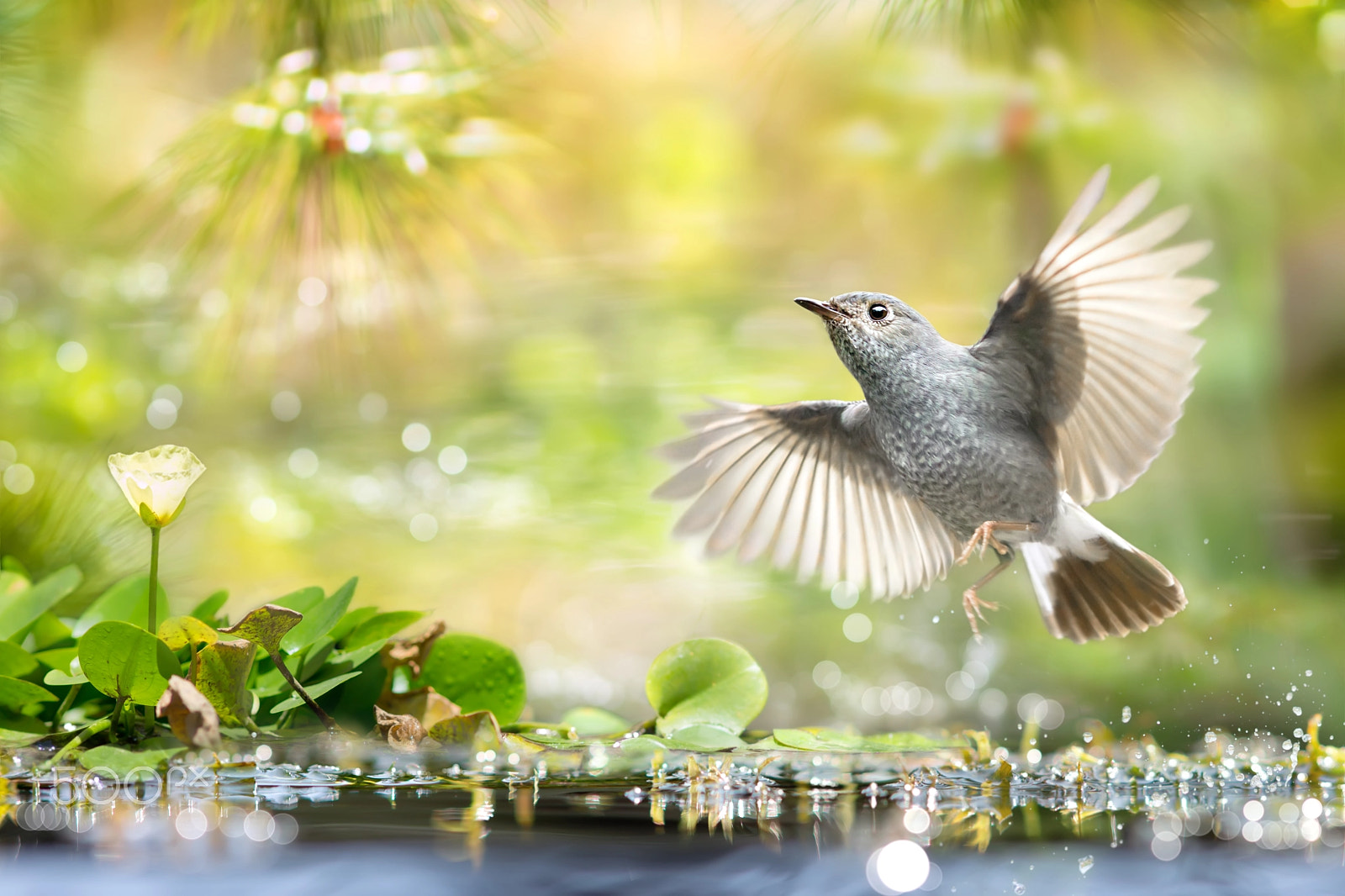 Minolta AF 300mm F2.8 APO sample photo. ～ take off the moment ～ photography