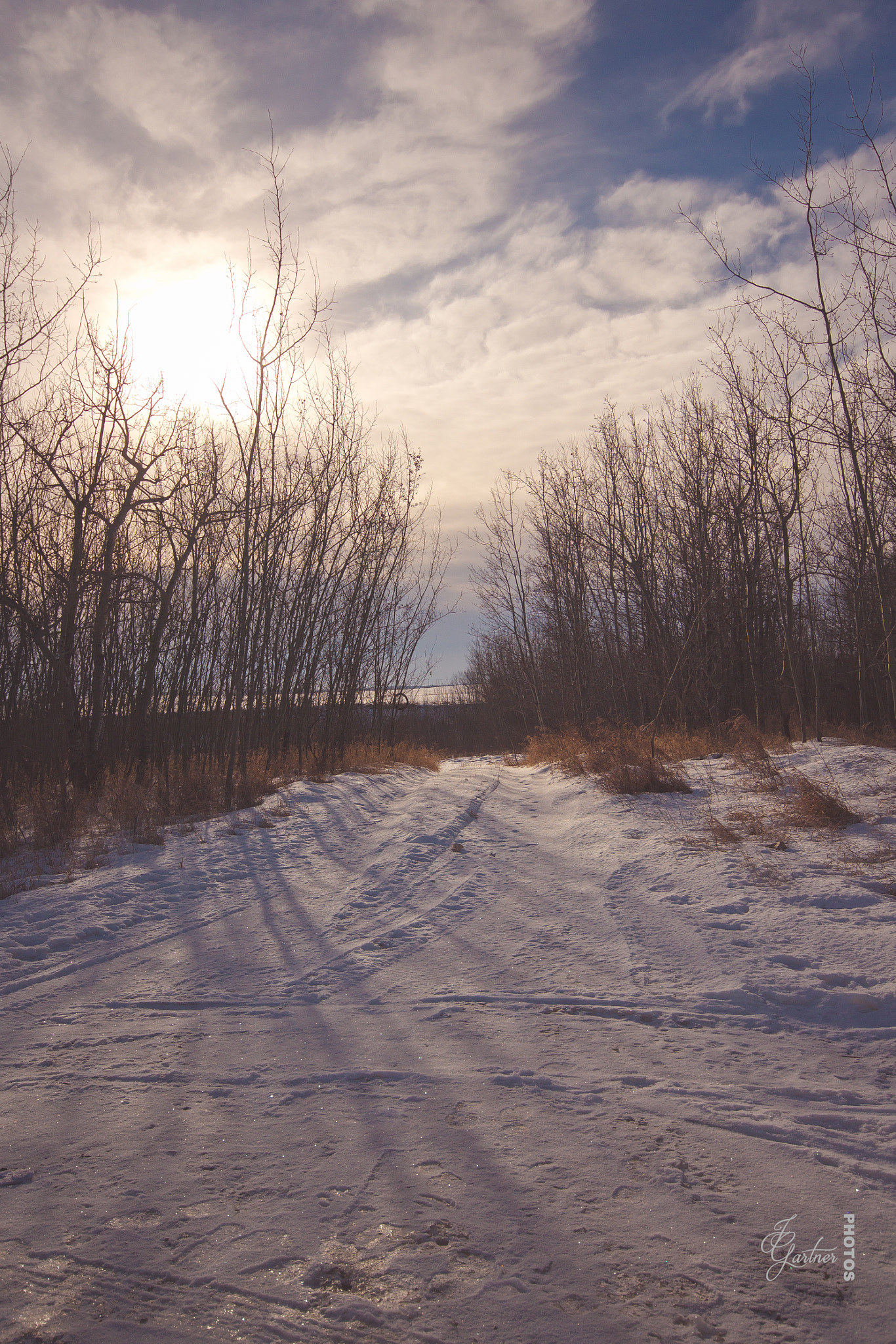 Canon EOS 650D (EOS Rebel T4i / EOS Kiss X6i) sample photo. Between the trees photography