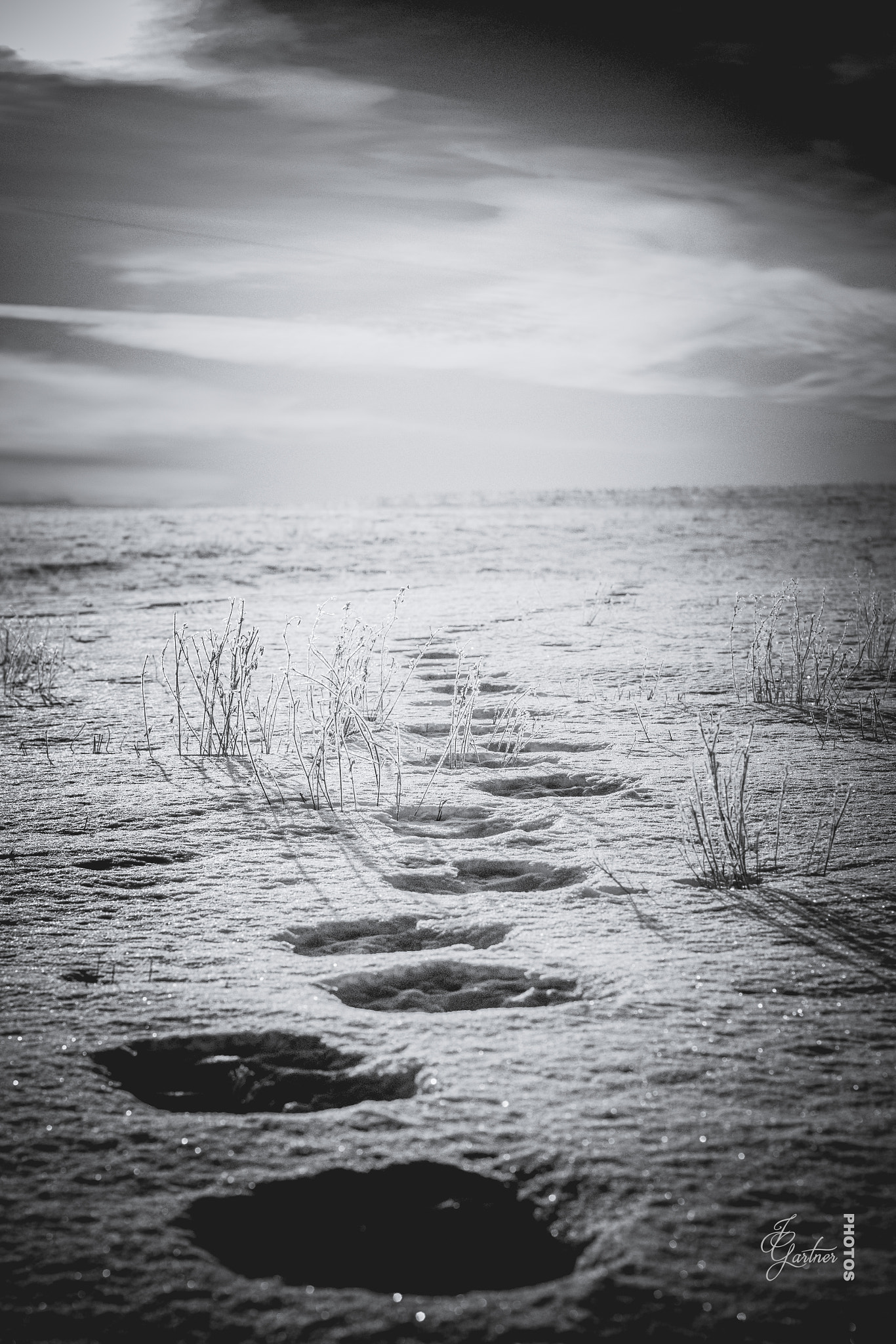 Canon EOS 650D (EOS Rebel T4i / EOS Kiss X6i) sample photo. Footprints photography