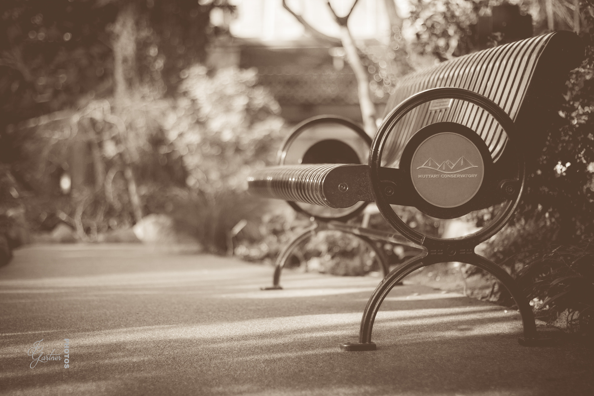 Canon EOS 650D (EOS Rebel T4i / EOS Kiss X6i) sample photo. Bench photography