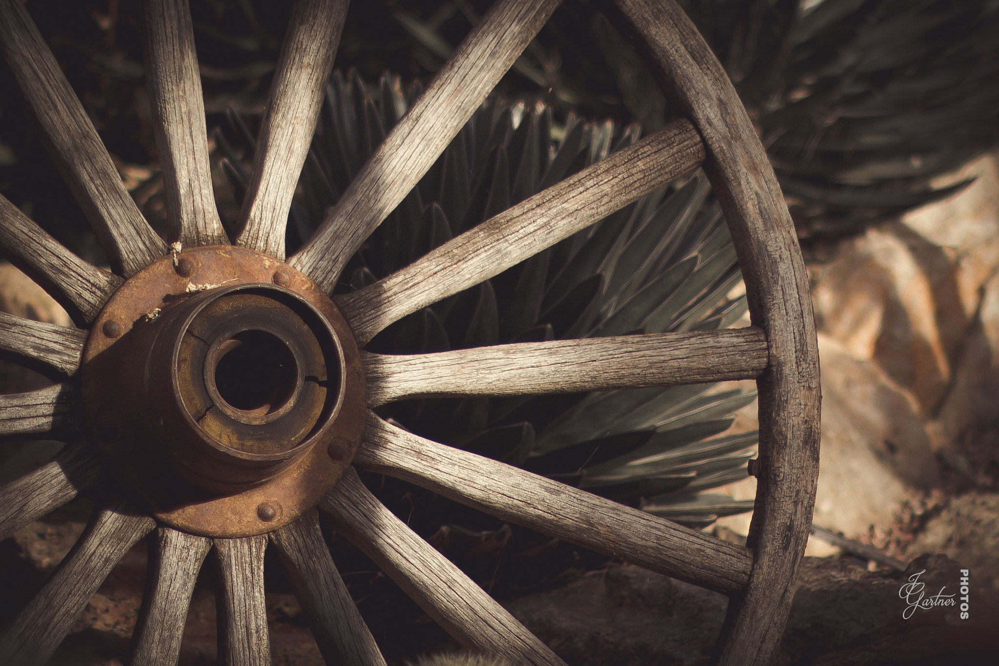 Canon EOS 650D (EOS Rebel T4i / EOS Kiss X6i) sample photo. Wagon wheel ii photography