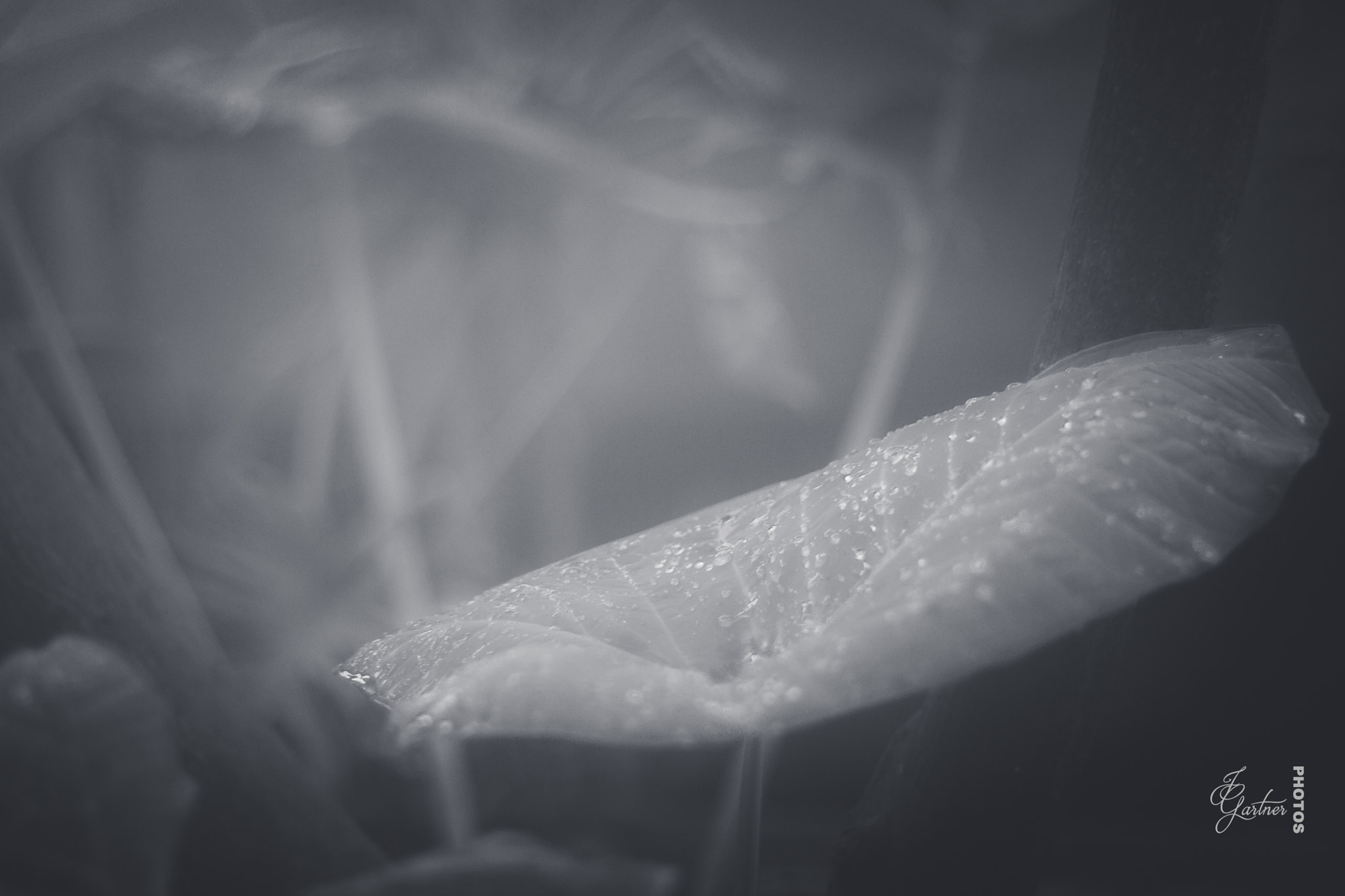 Canon EOS 650D (EOS Rebel T4i / EOS Kiss X6i) sample photo. Water droplets photography