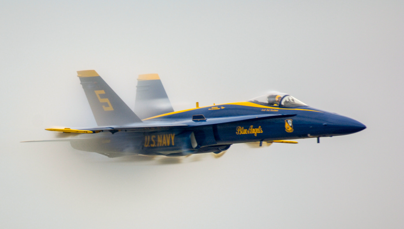 Nikon D2X + AF Nikkor 300mm f/4 IF-ED sample photo. Blue angle #5 photography