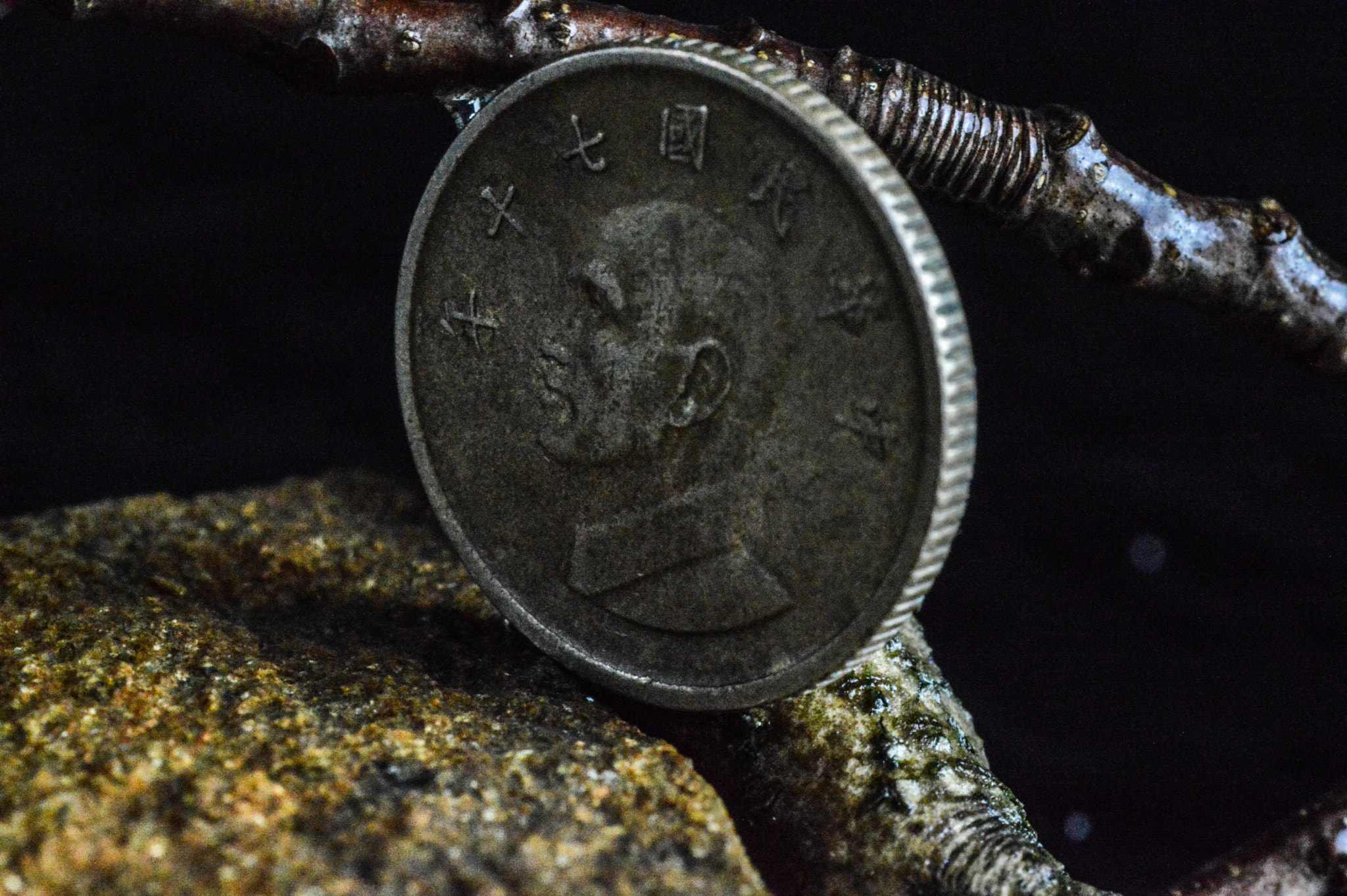 Nikon D3200 + Tamron SP 90mm F2.8 Di VC USD 1:1 Macro sample photo. Coin from taiwan photography