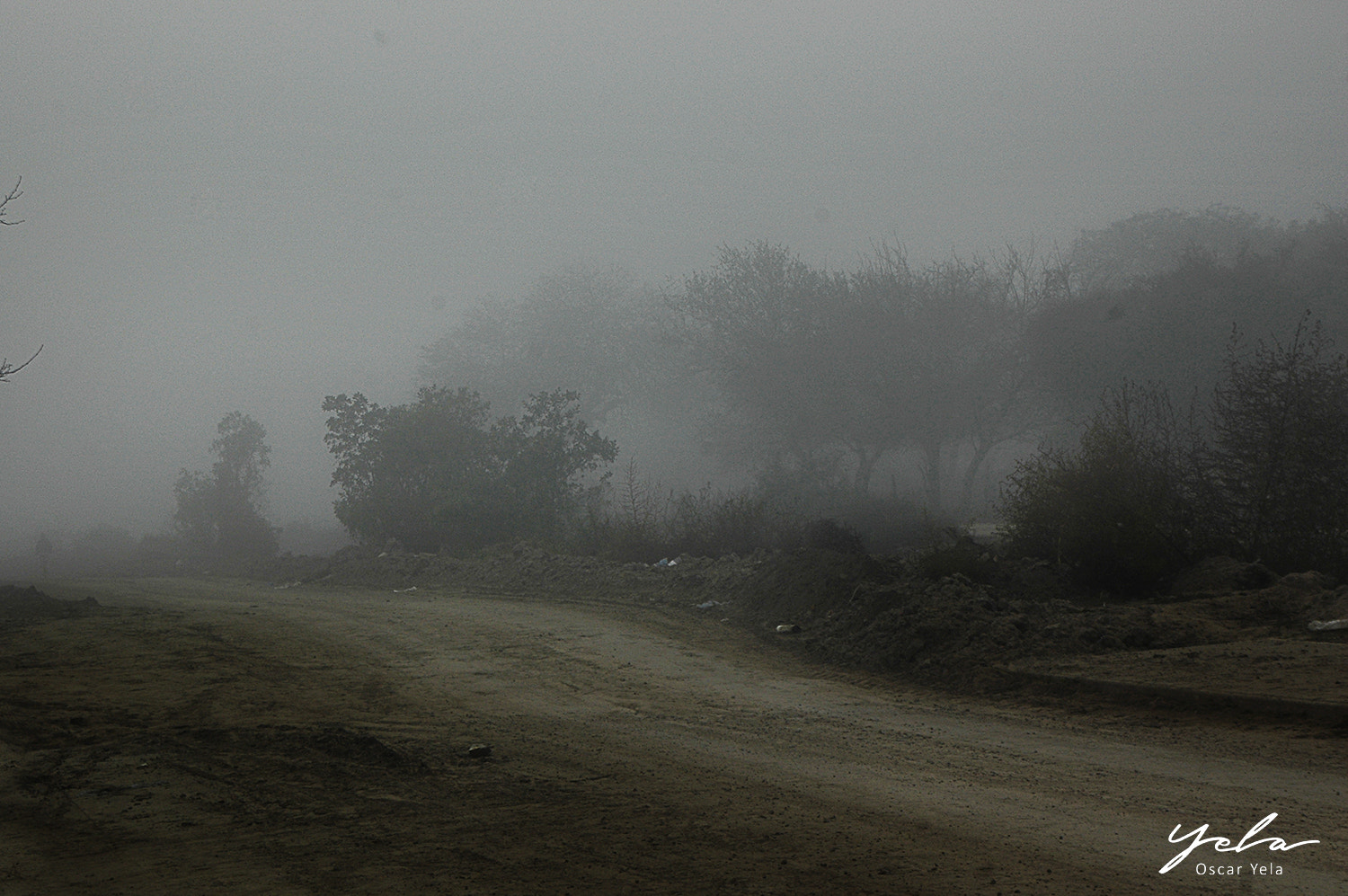 Nikon D70s sample photo. Neblina photography