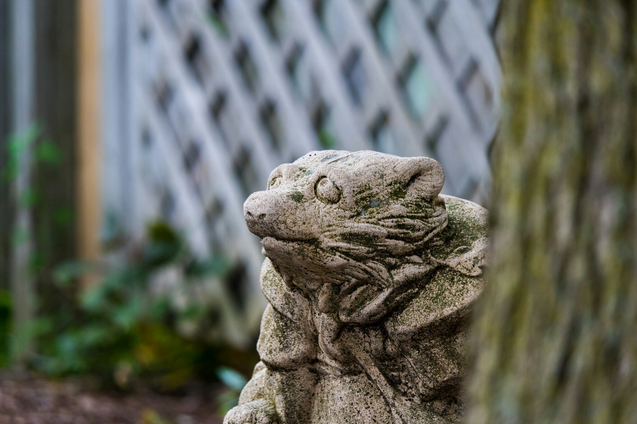 Canon EF-S 55-250mm F4-5.6 IS STM sample photo. Statue viii  photography