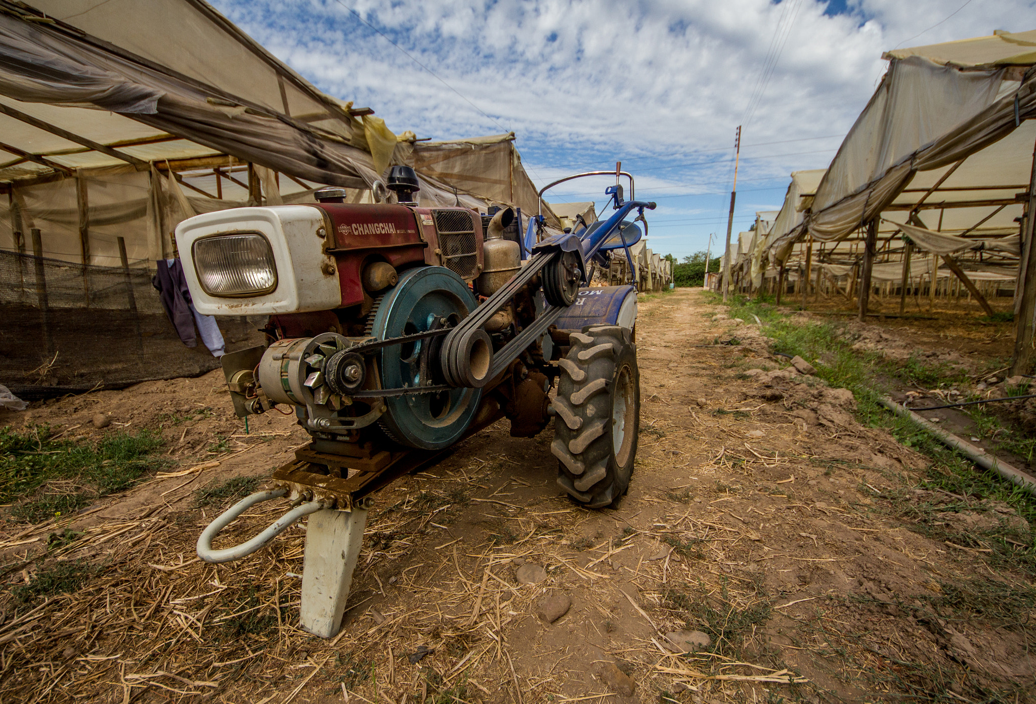 Sigma 8-16mm F4.5-5.6 DC HSM sample photo. Vida de campo!! photography