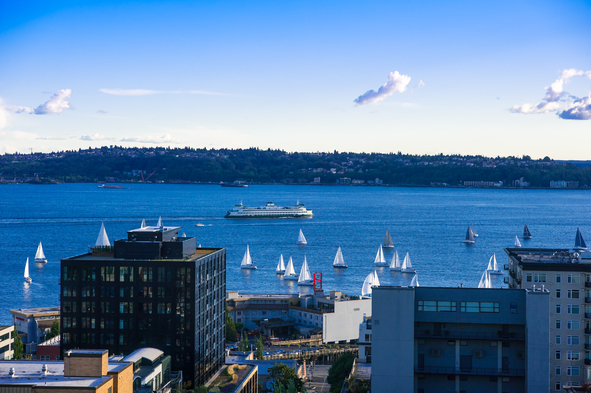 Nikon AF-S Nikkor 24-70mm F2.8E ED VR sample photo. Elliott bay regatta 2 photography