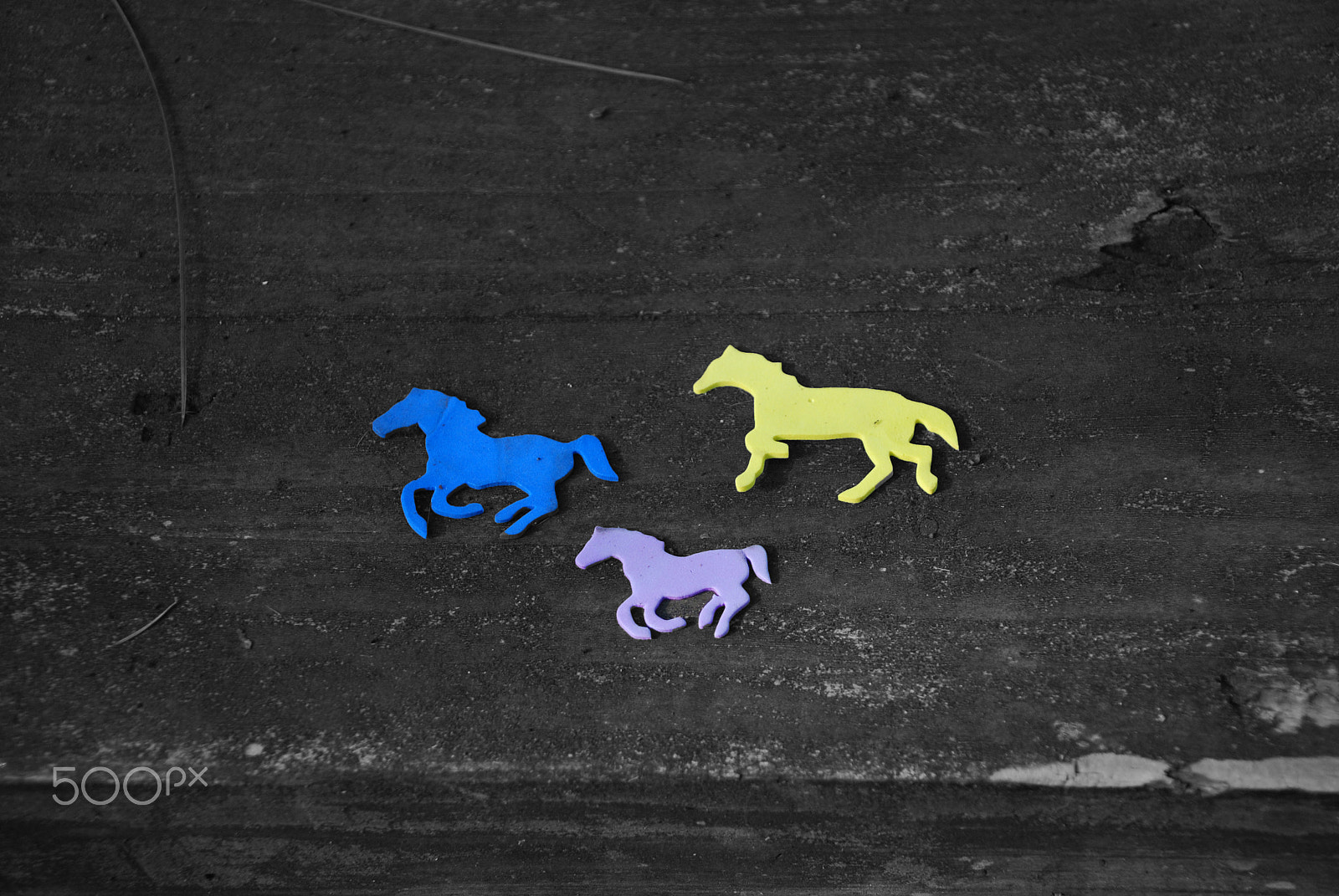 Nikon D40X sample photo. Three horses photography