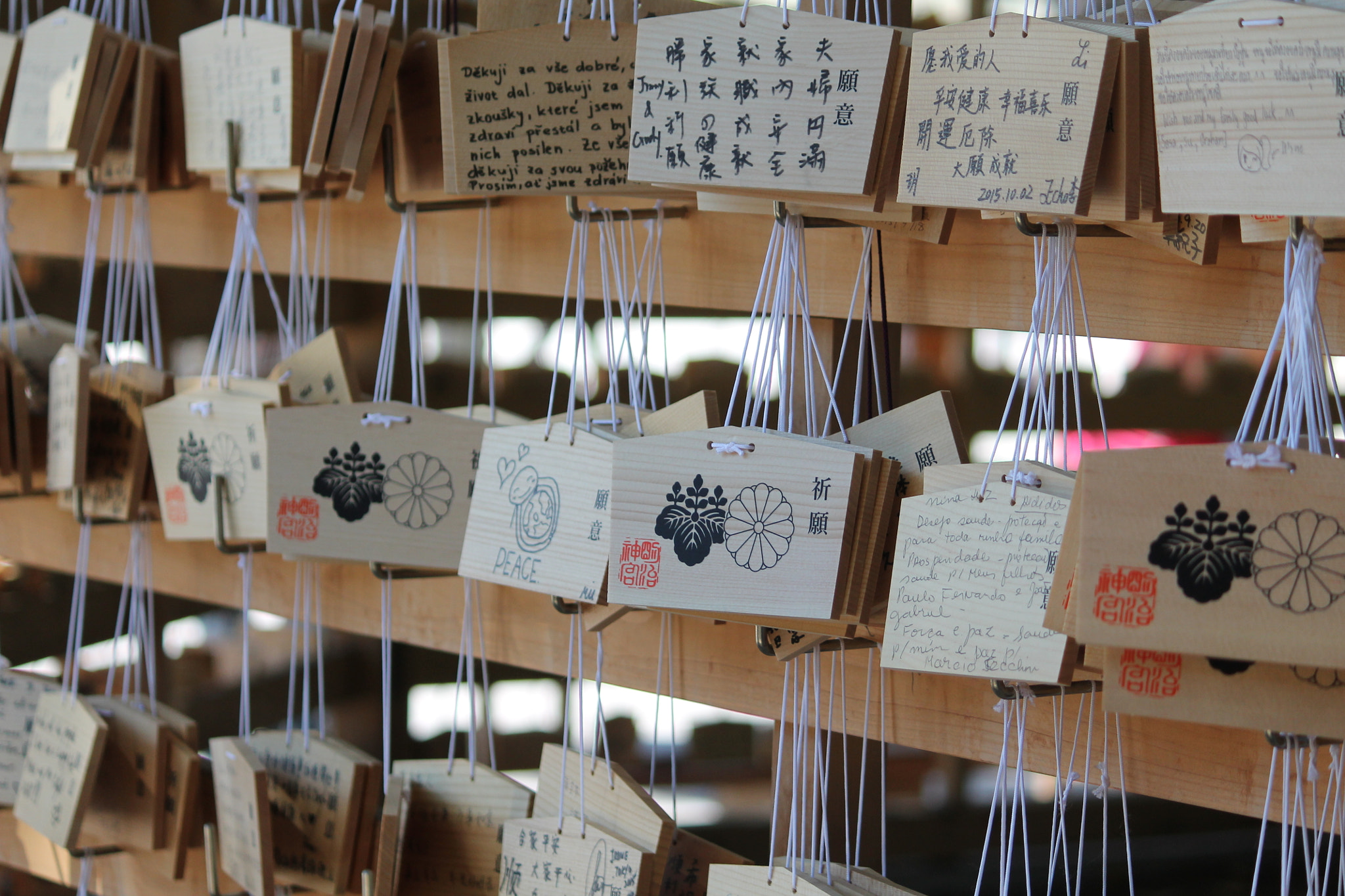 Canon EF-S 55-250mm F4-5.6 IS sample photo