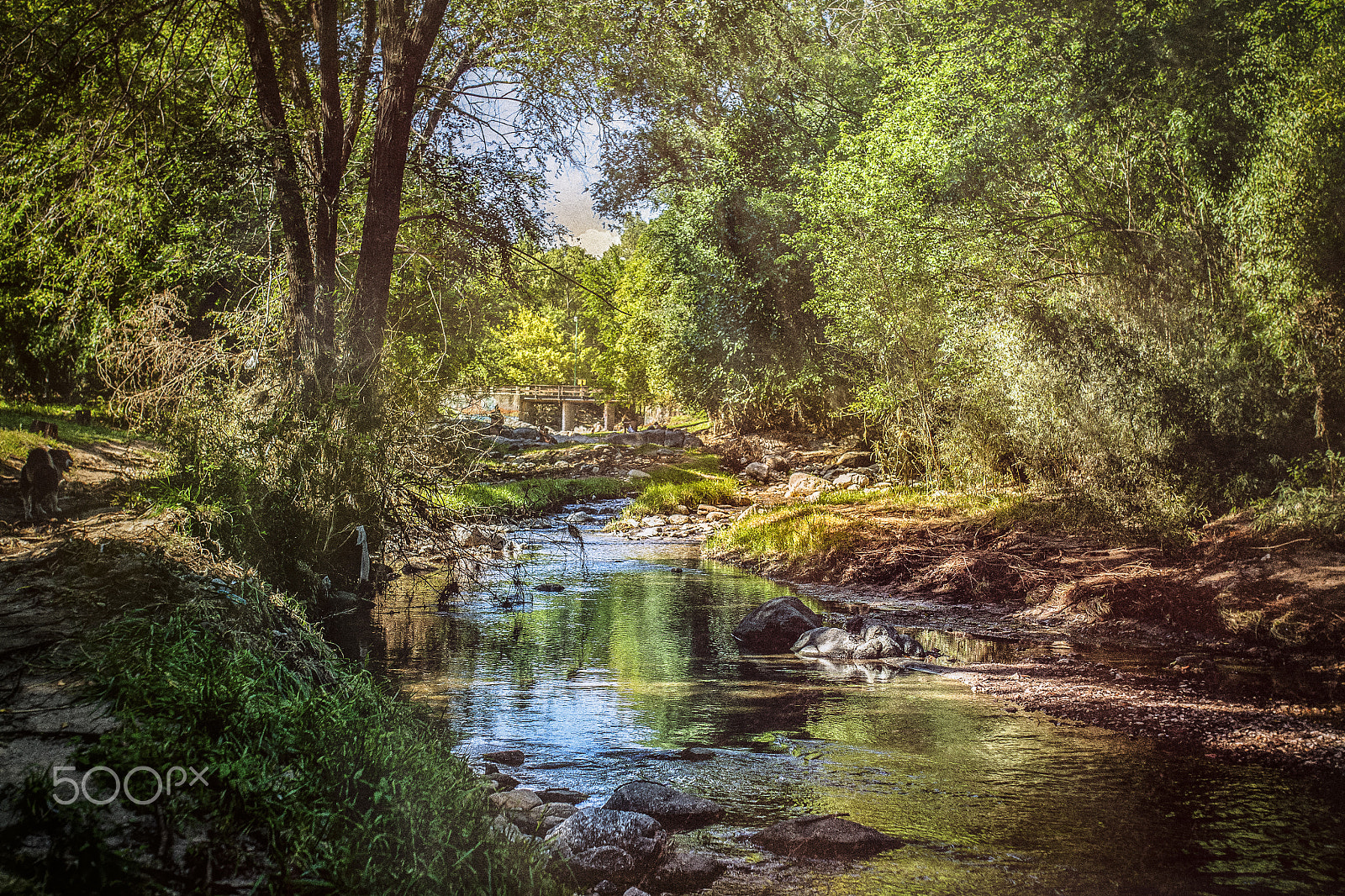 Sigma 35mm F1.4 DG HSM Art sample photo. Misty river ii photography