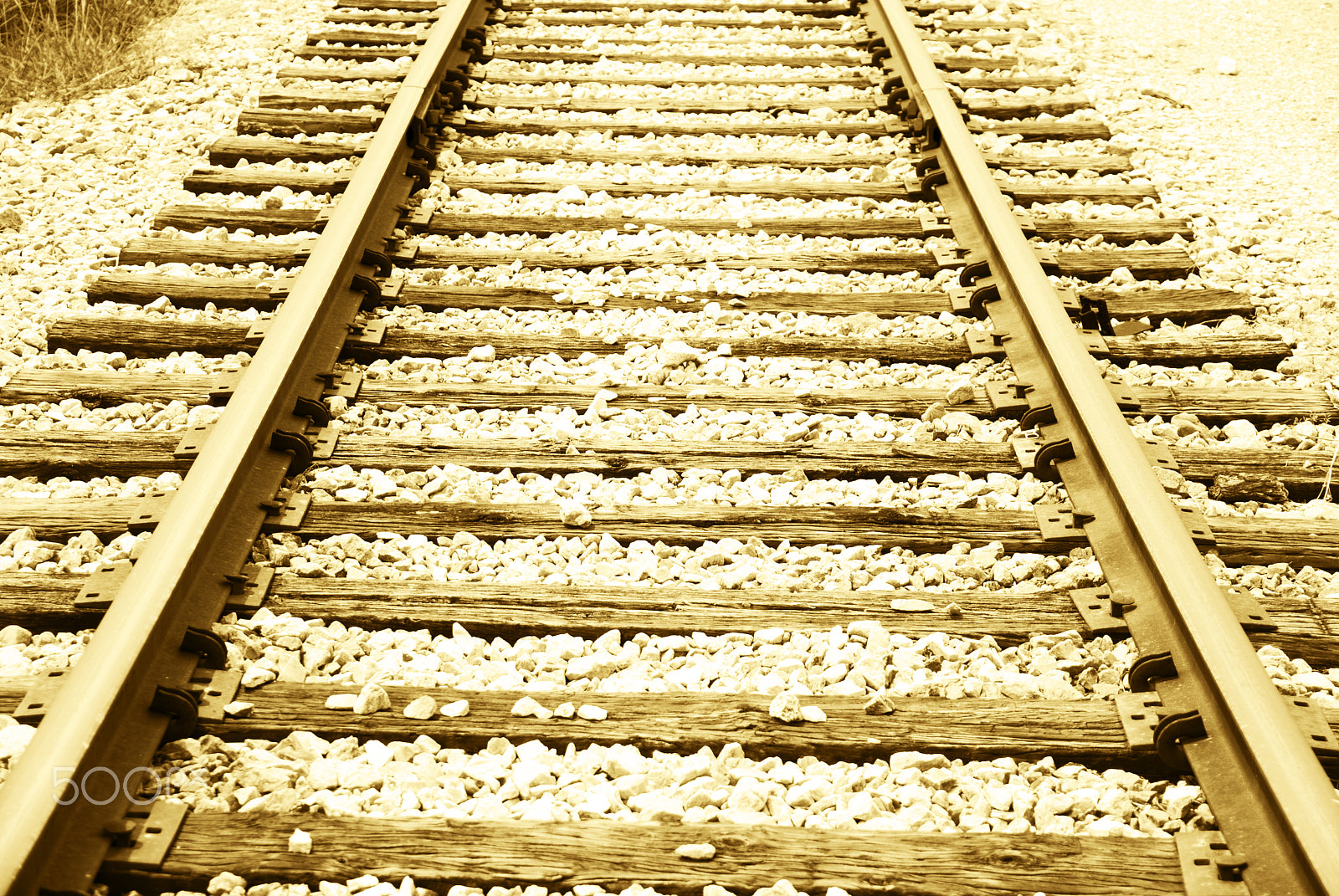 Nikon D40X sample photo. Quitman tracks photography