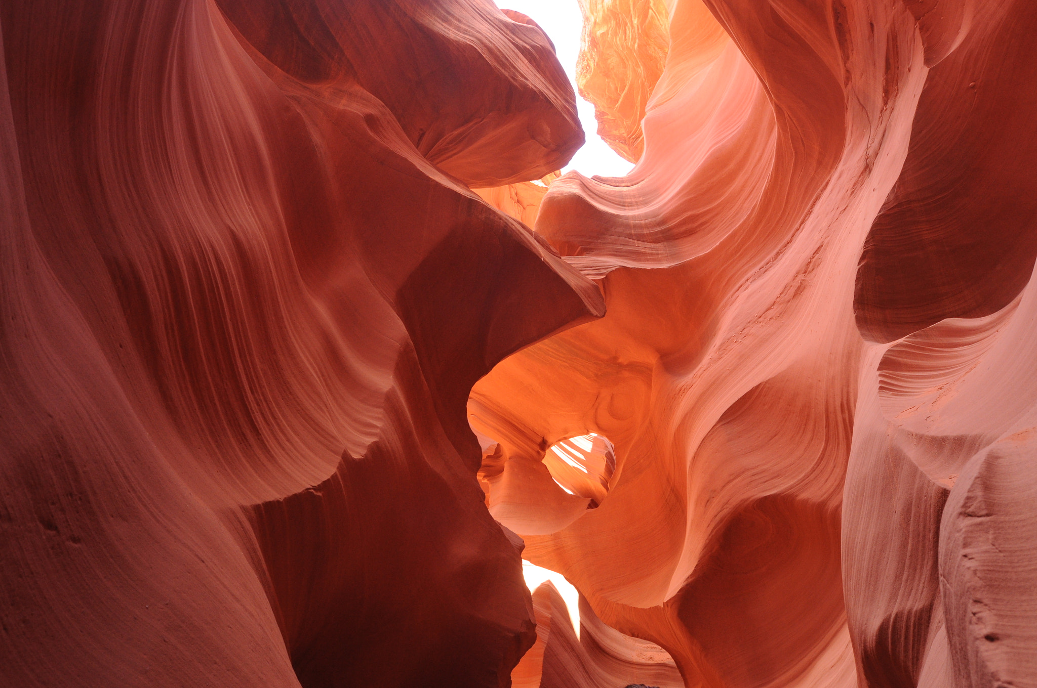 Nikon AF-S Nikkor 14-24mm F2.8G ED sample photo. Lower antelope canyon photography