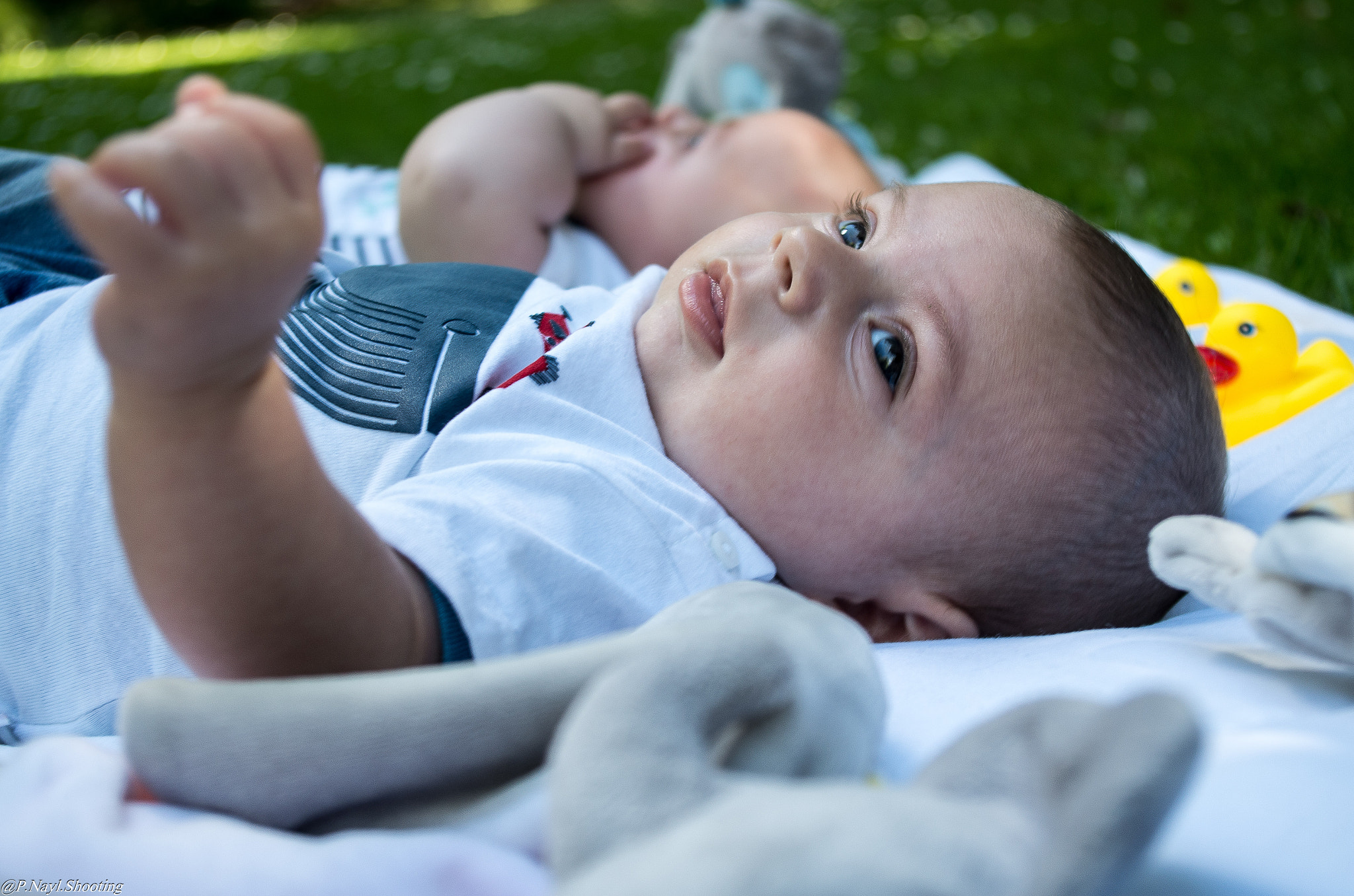 smc PENTAX-DA L 18-55mm F3.5-5.6 sample photo. Nayl7603.jpg photography