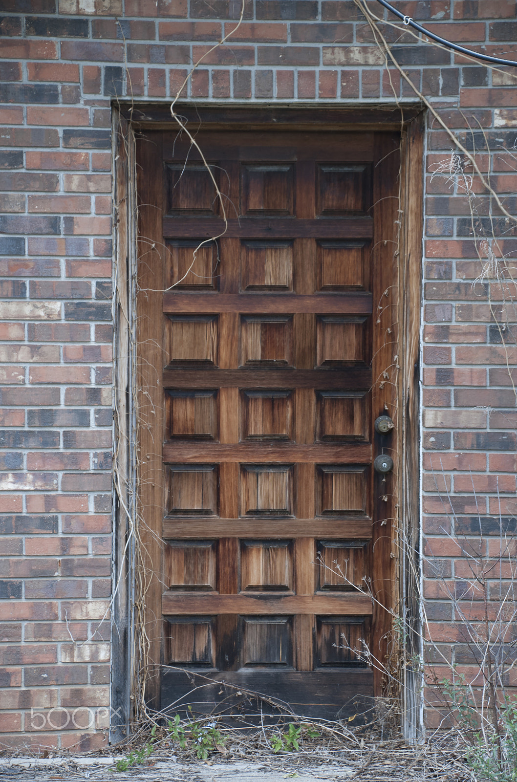 Nikon D40X sample photo. Brown door photography