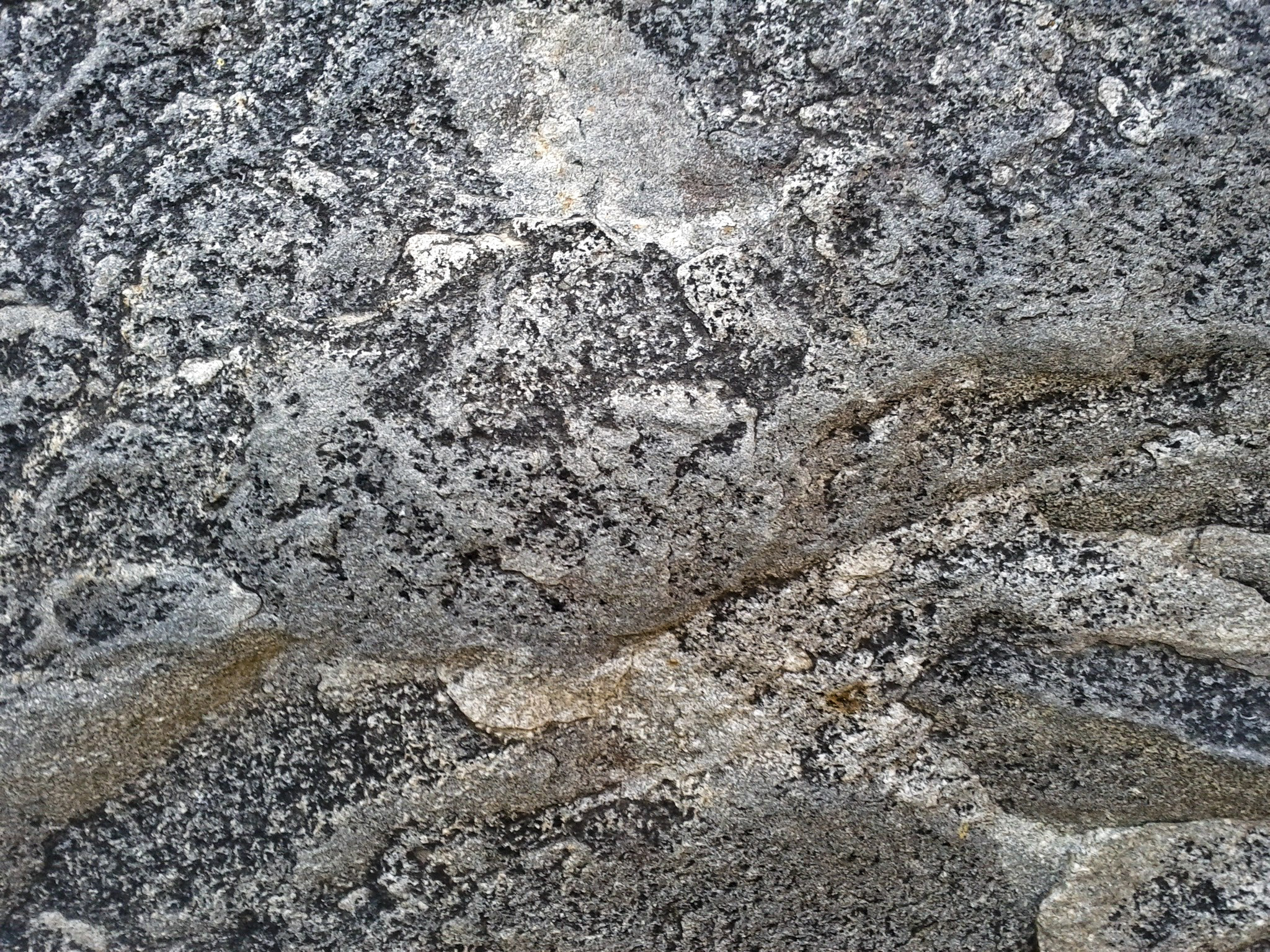 Google Nexus S sample photo. Tsu ns photography