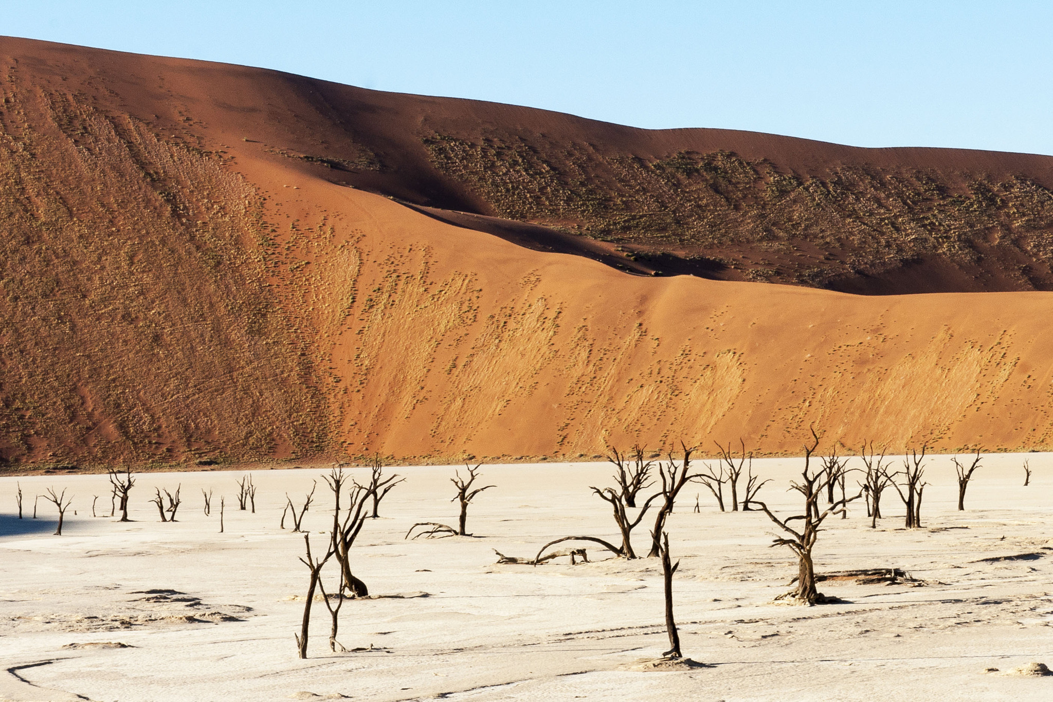 Sony Alpha DSLR-A700 sample photo. Sossusvlei - namibia photography