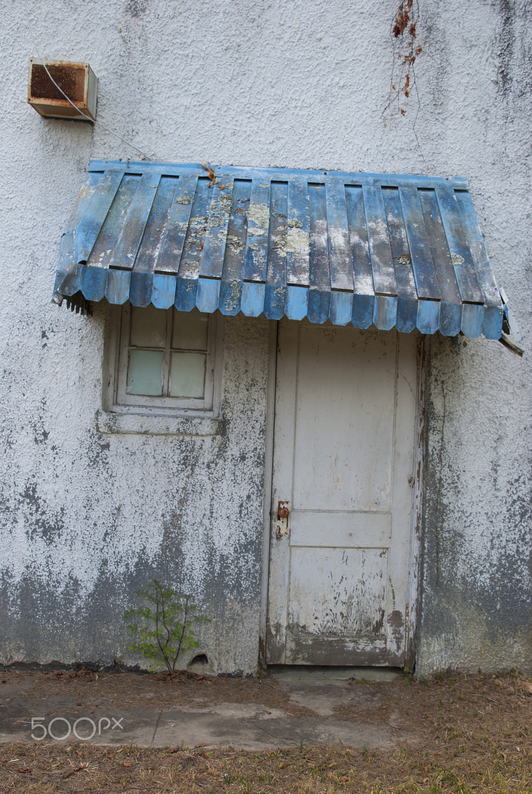 Nikon D40X sample photo. Blue hood door photography