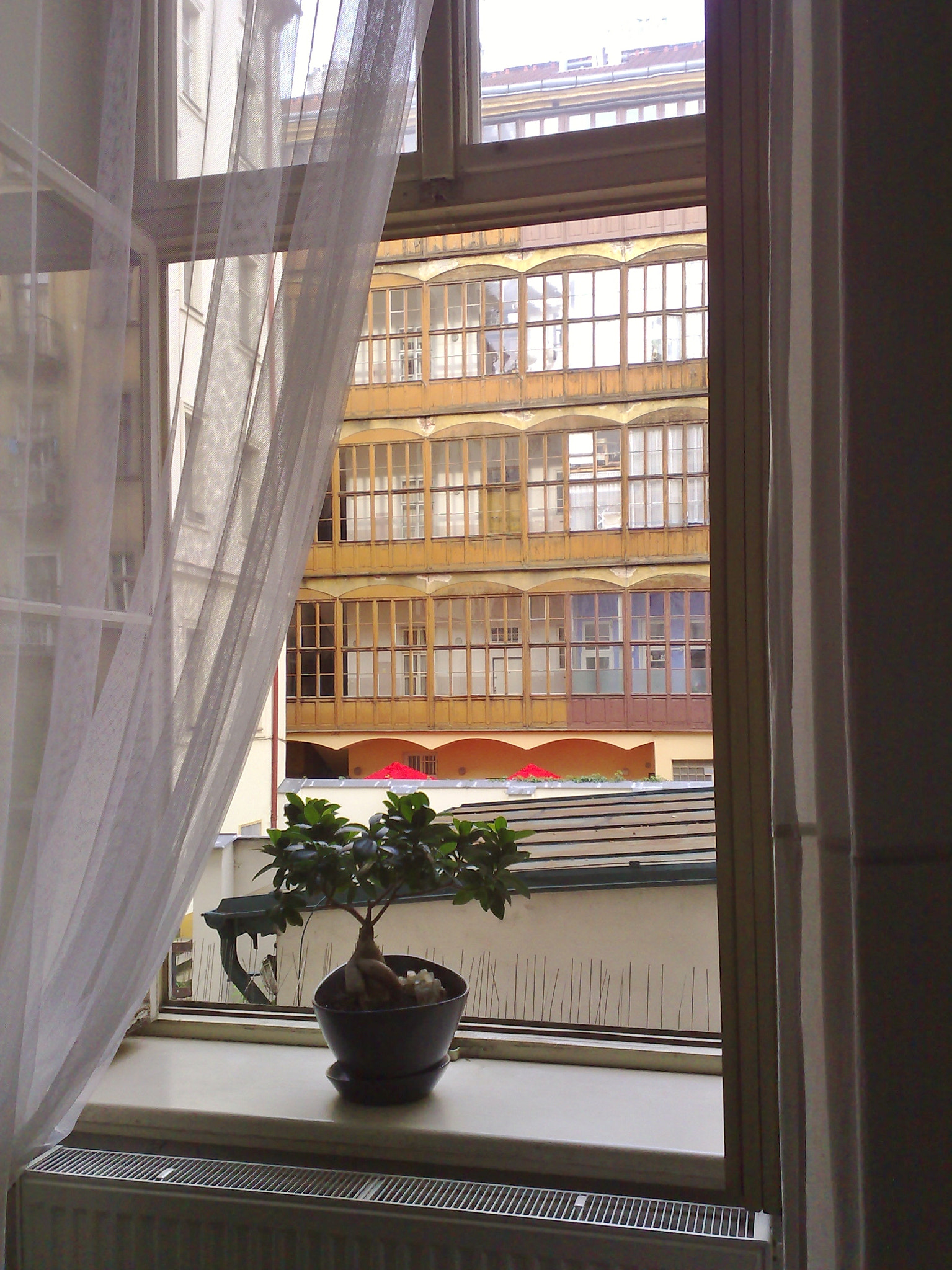 Nokia N95 sample photo. 150620115337.jpg photography