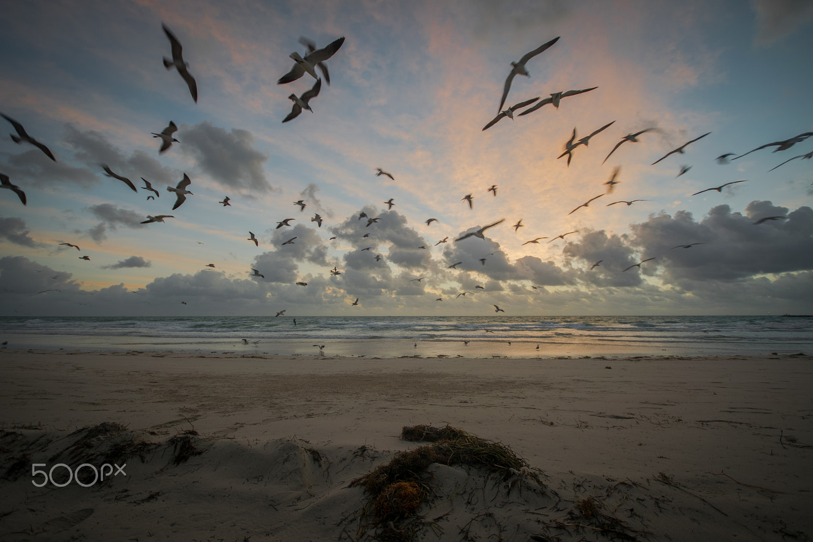 Sigma 10-20mm F4-5.6 EX DC HSM sample photo. Miami beach sunrise ii photography