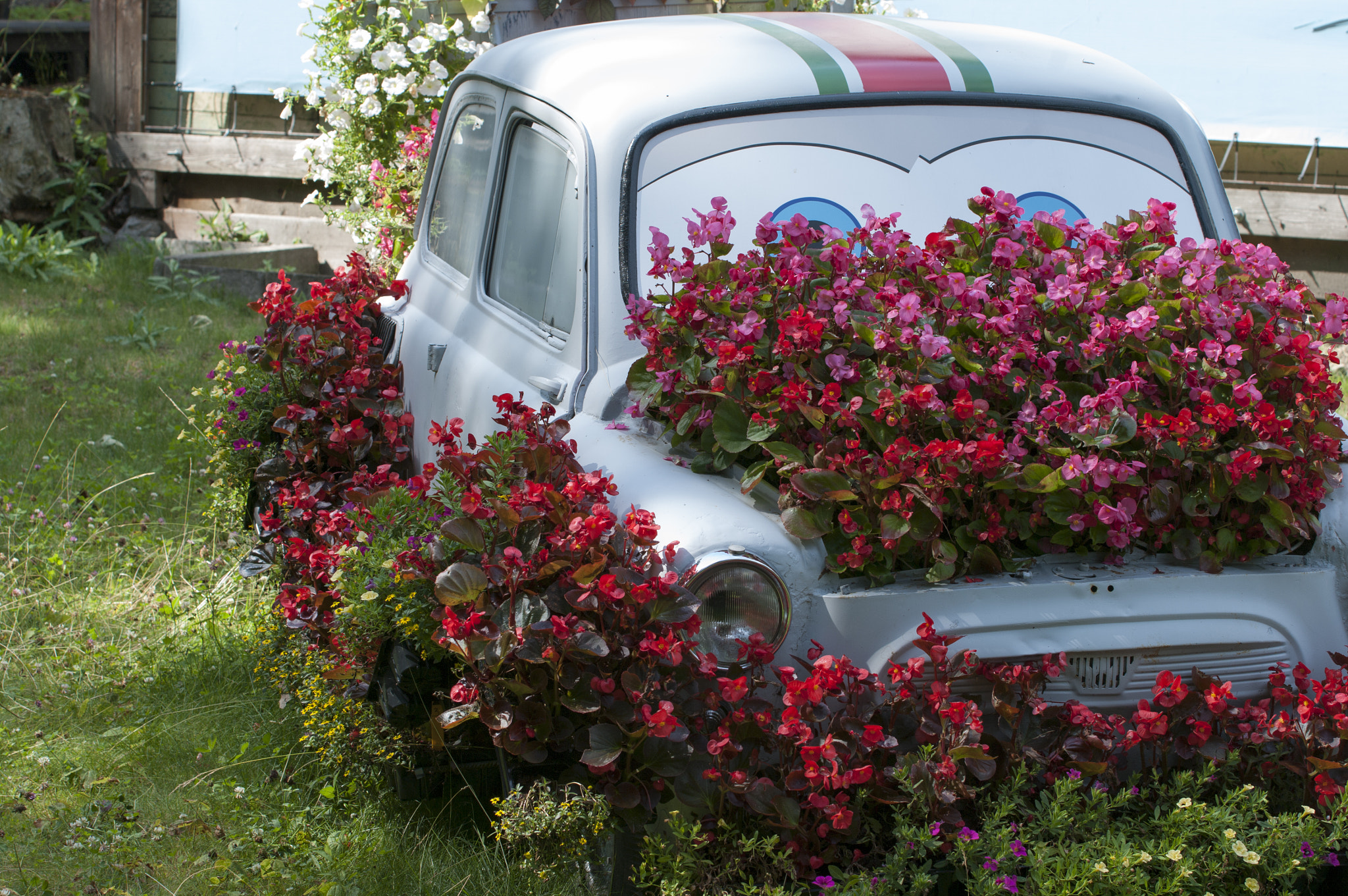 Pentax K20D sample photo. Flower car photography