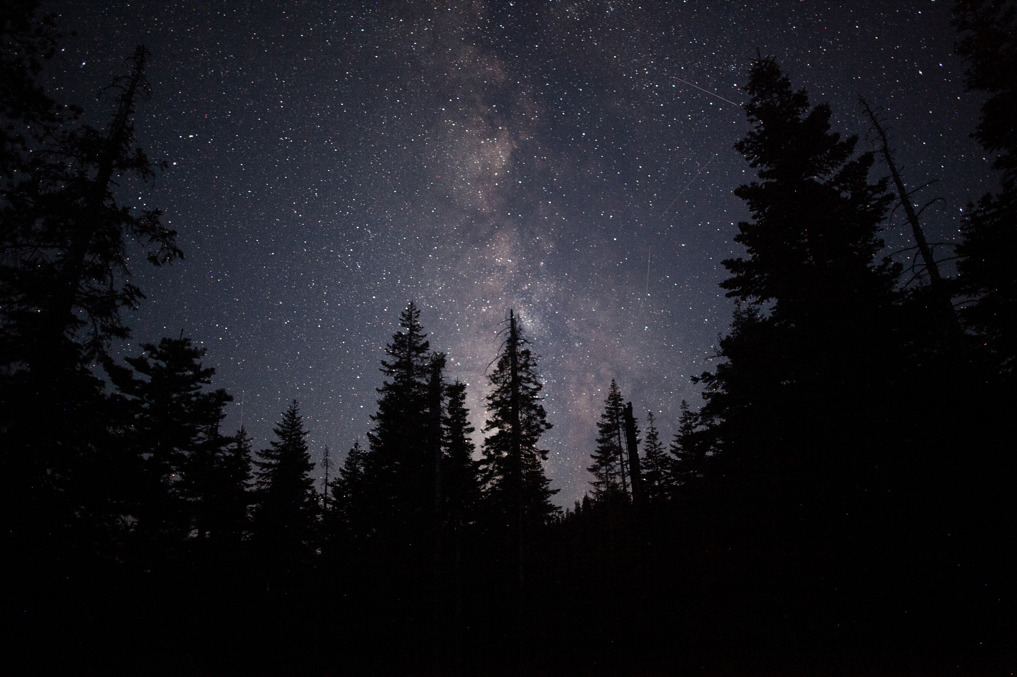 Canon EOS 5D Mark II + Canon EF 24mm F2.8 sample photo. Milk way at glacier point photography