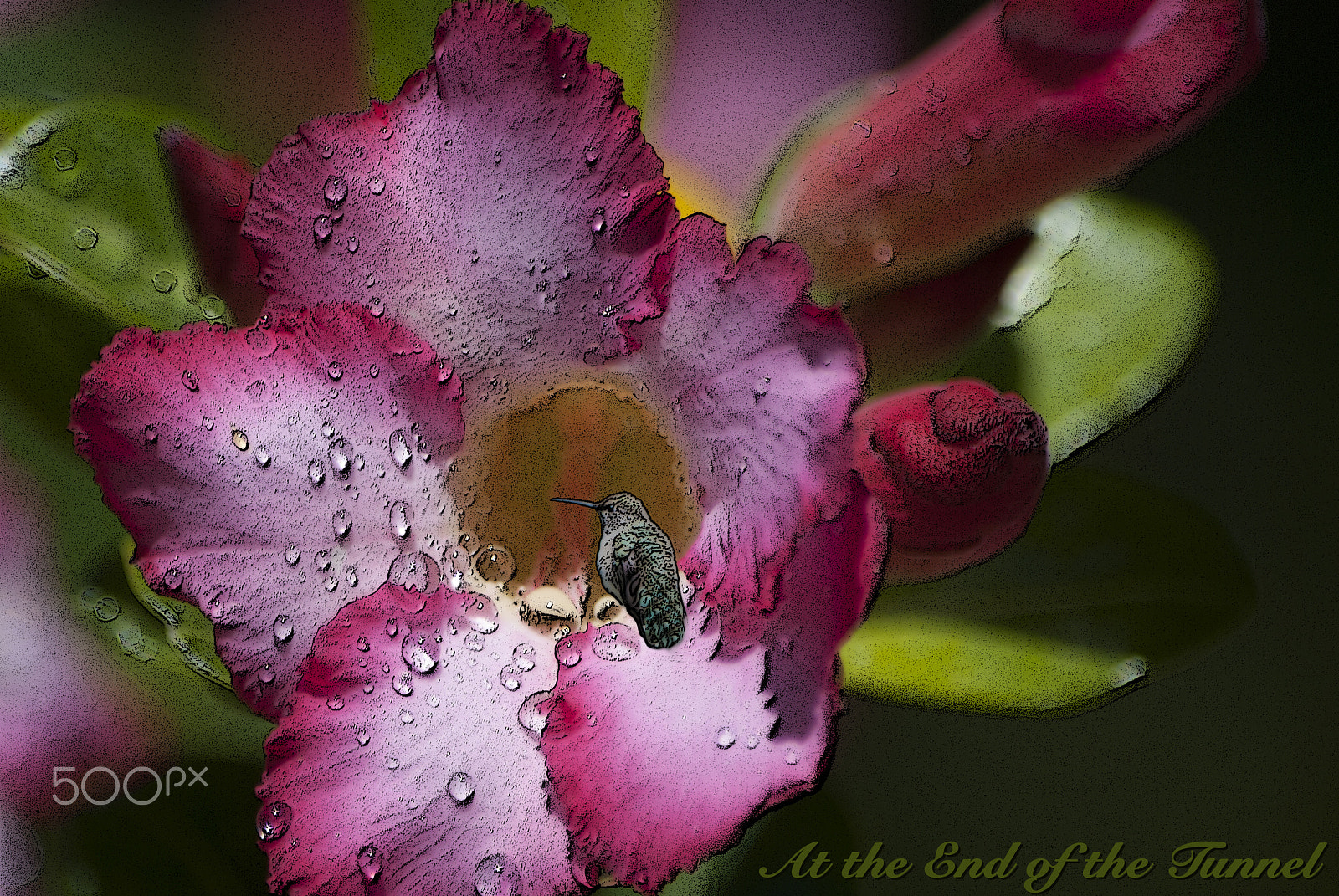 Nikon D80 sample photo. At the end of the tunnel photography