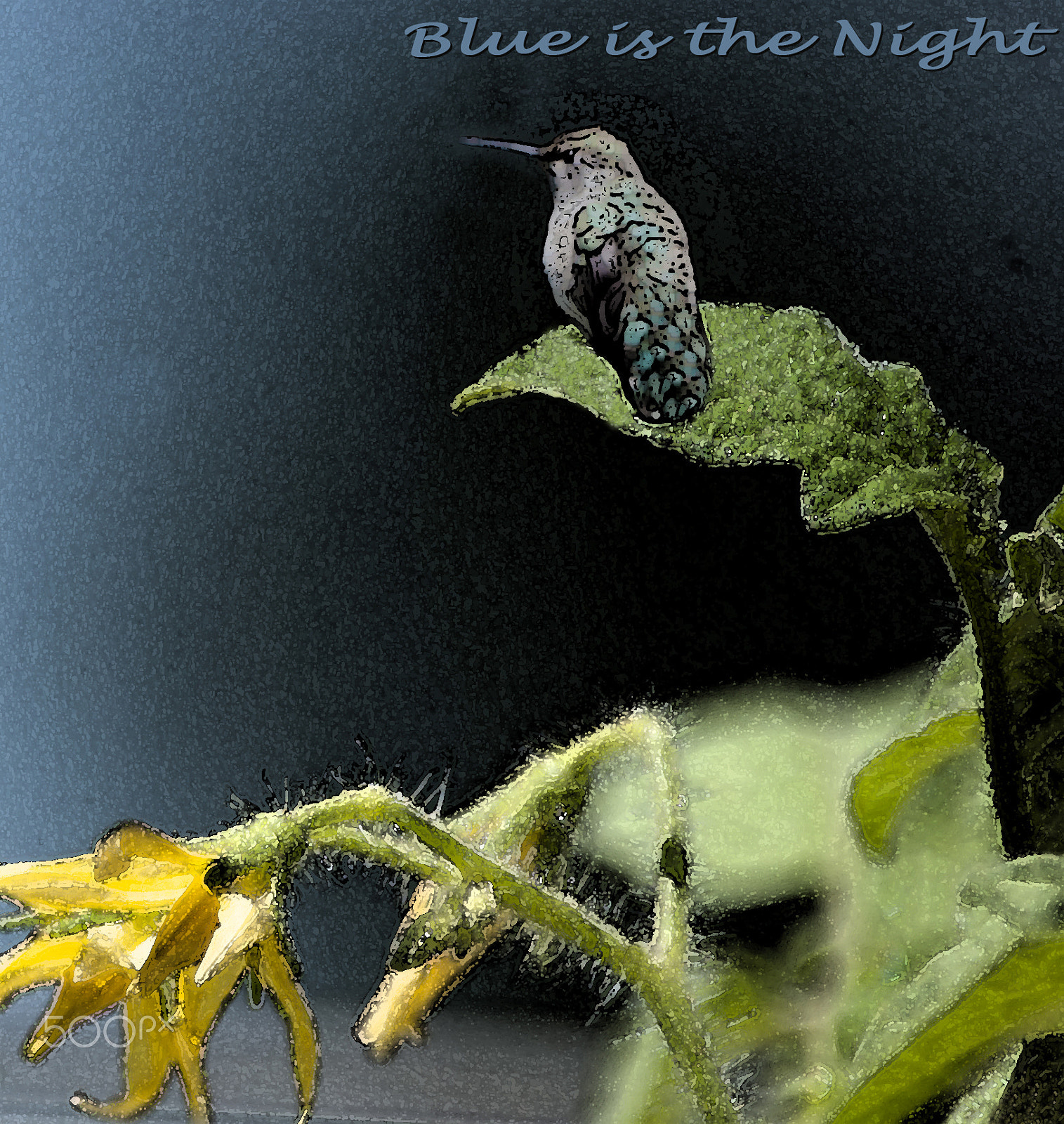 Nikon D80 sample photo. Blue is the night photography