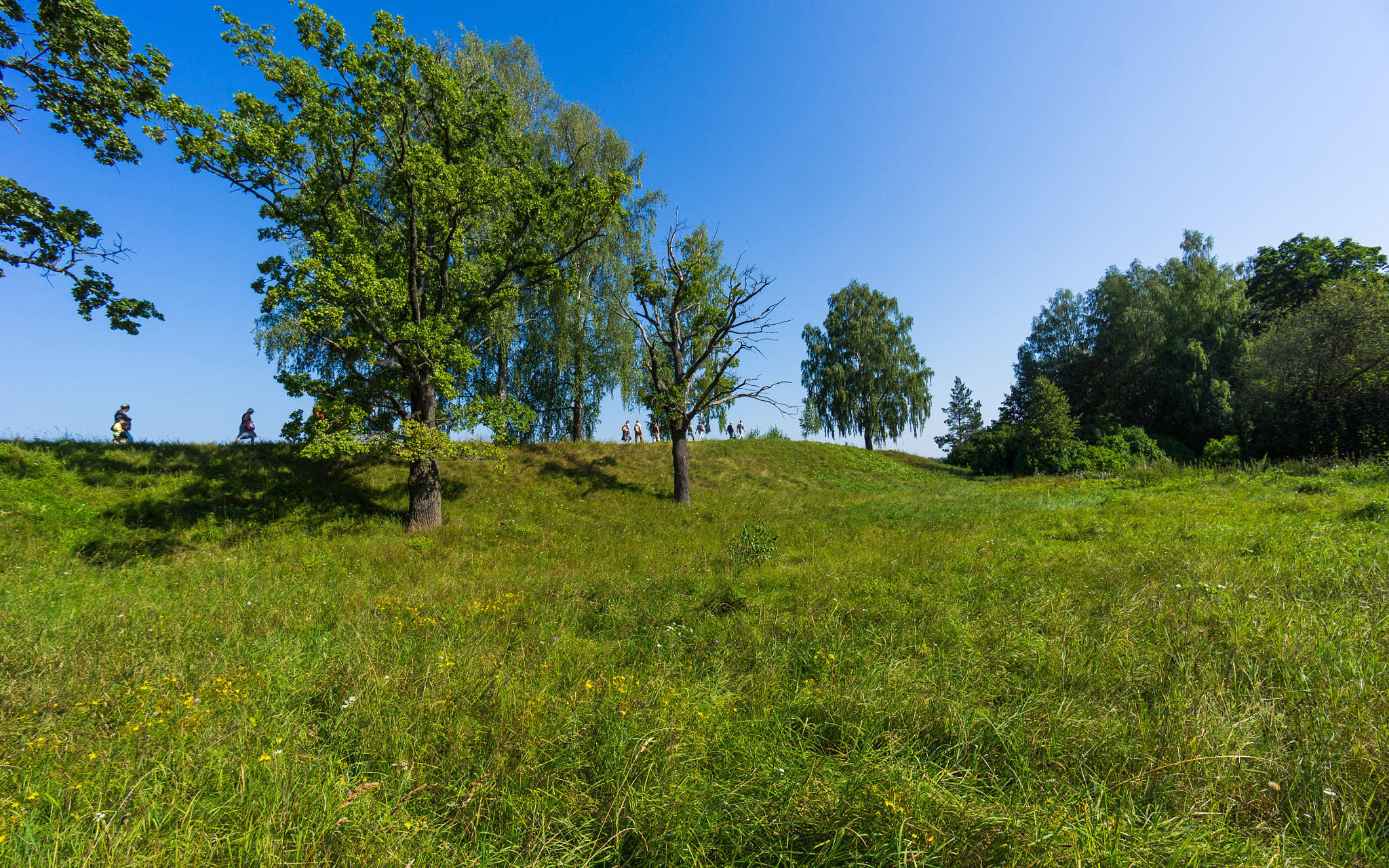 Sony Alpha NEX-5N + Sony E 10-18mm F4 OSS sample photo. ** photography