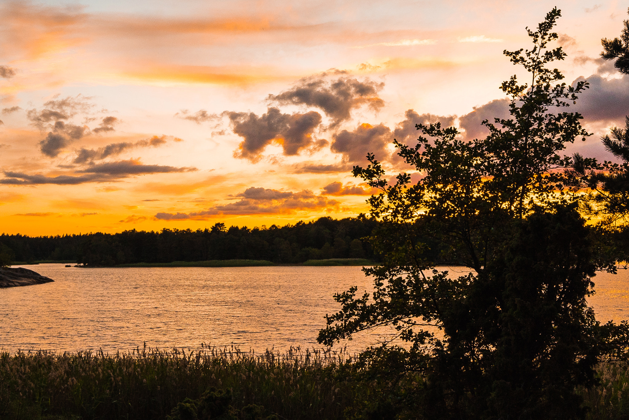 Sony a7S II + Sony Vario-Tessar T* FE 16-35mm F4 ZA OSS sample photo. The sun is setting over the baltic sea photography
