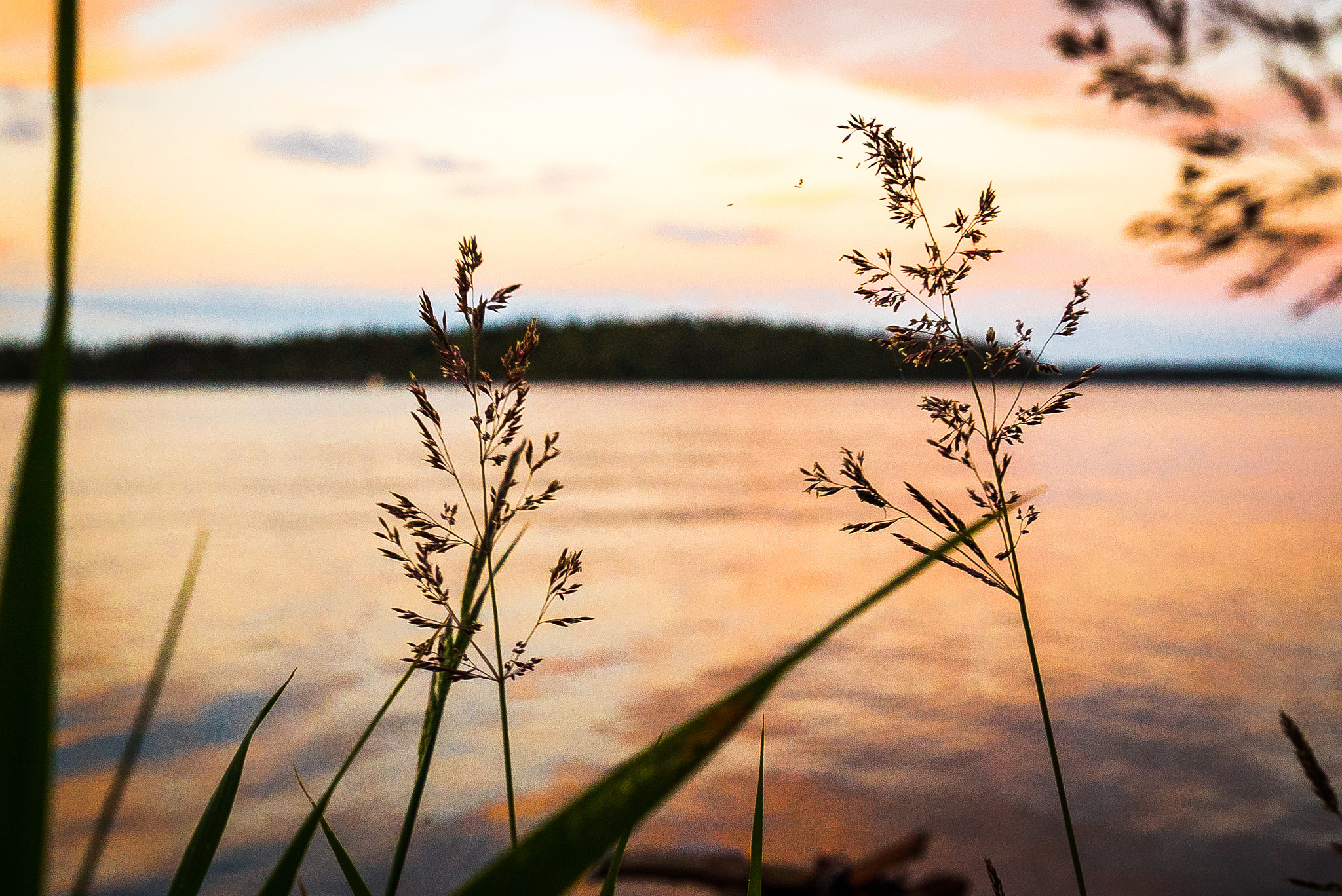 Sony a7S II + Sony Vario-Tessar T* FE 16-35mm F4 ZA OSS sample photo. The sun is setting over the baltic sea photography