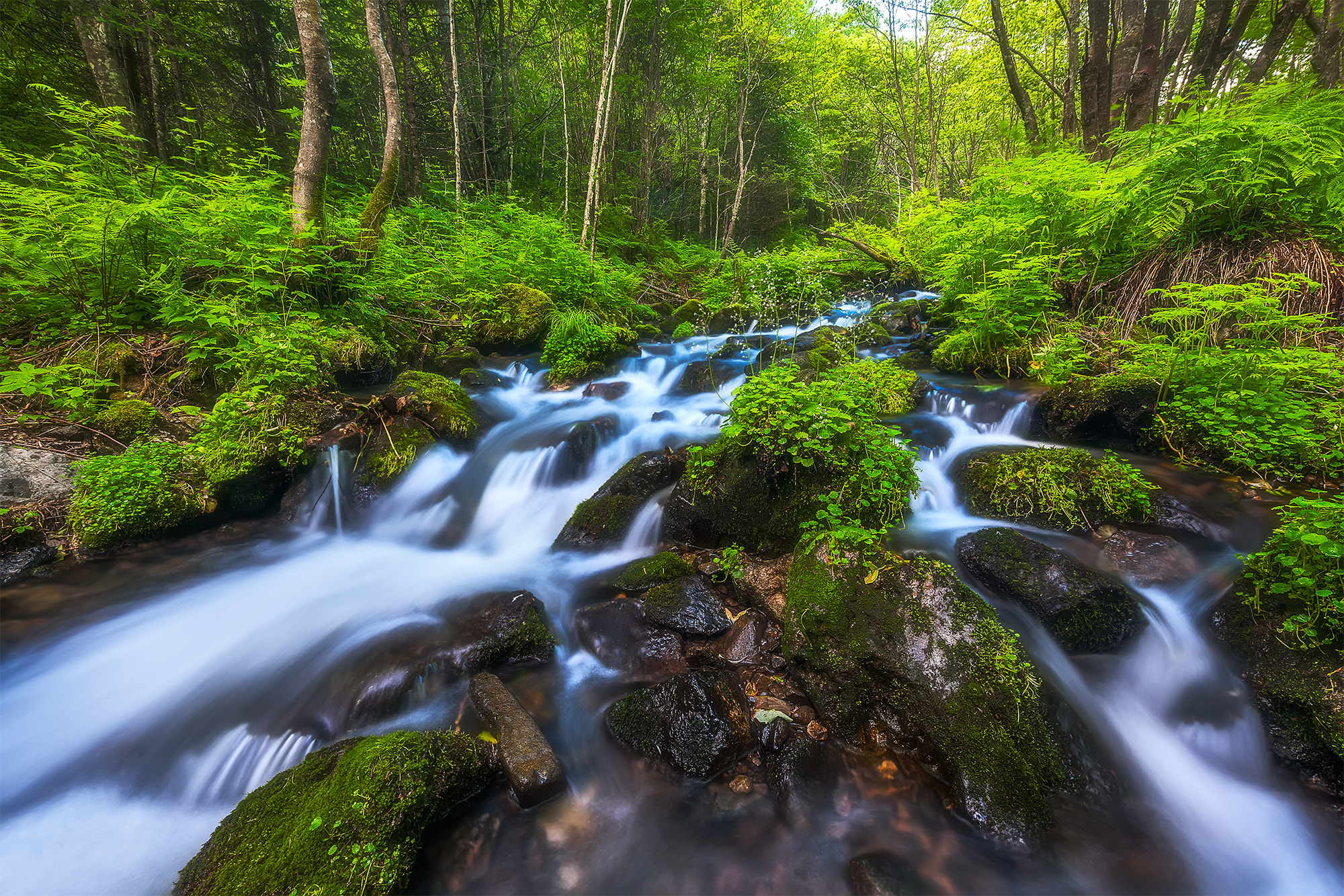 Nikon D3X + Nikon AF-S Nikkor 14-24mm F2.8G ED sample photo. Flowing stream photography