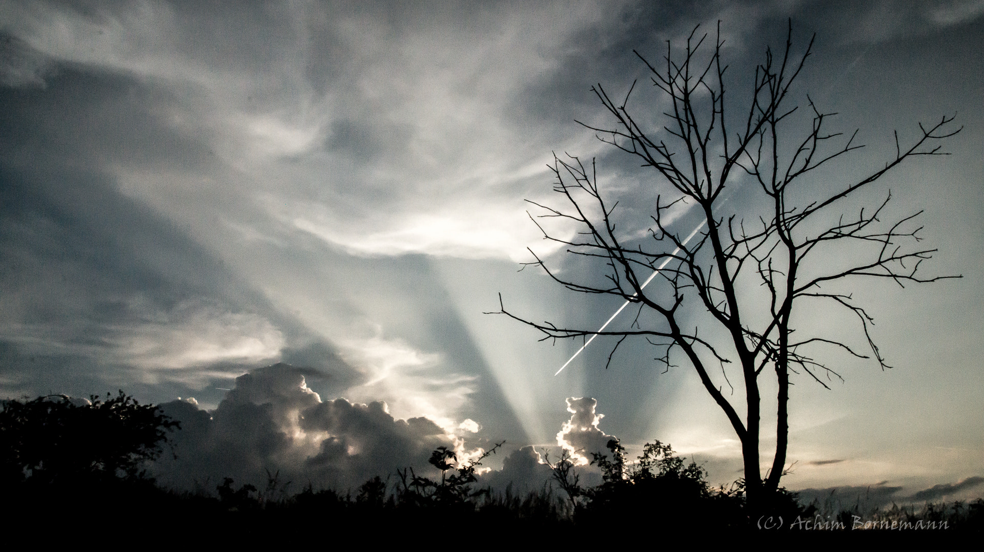 Sony SLT-A58 sample photo. Leaveless photography