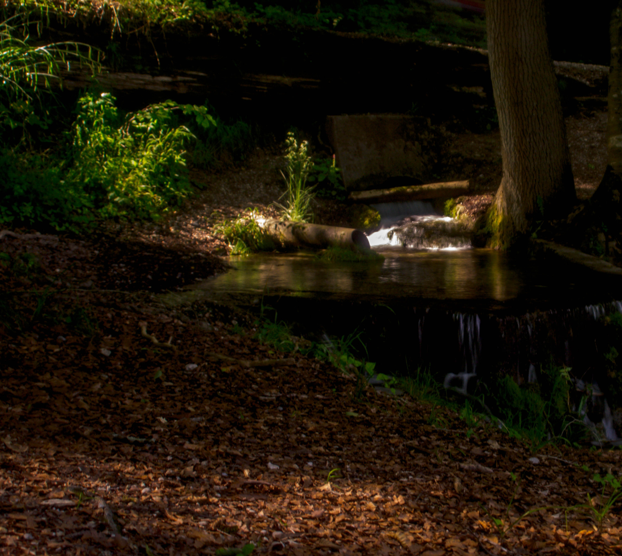 Sigma 17-70mm F2.8-4 DC Macro HSM sample photo. Steilauf ( die zweite )... photography