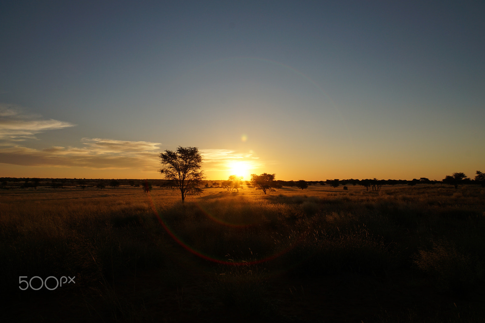 Sony E 18-200mm F3.5-6.3 sample photo. Namibian sunset photography