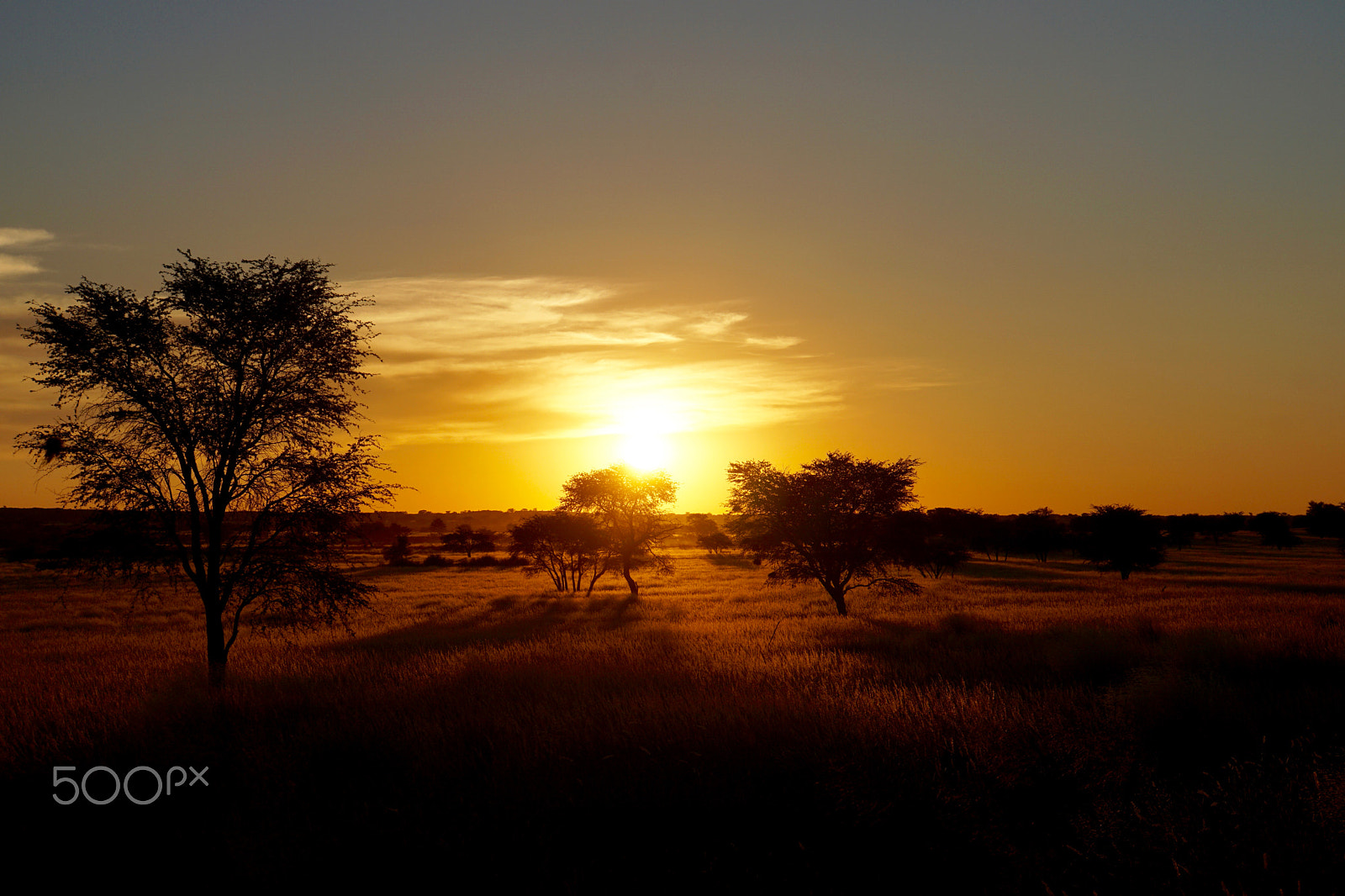 Sony a6000 + Sony E 18-200mm F3.5-6.3 sample photo. Namibian sunset photography