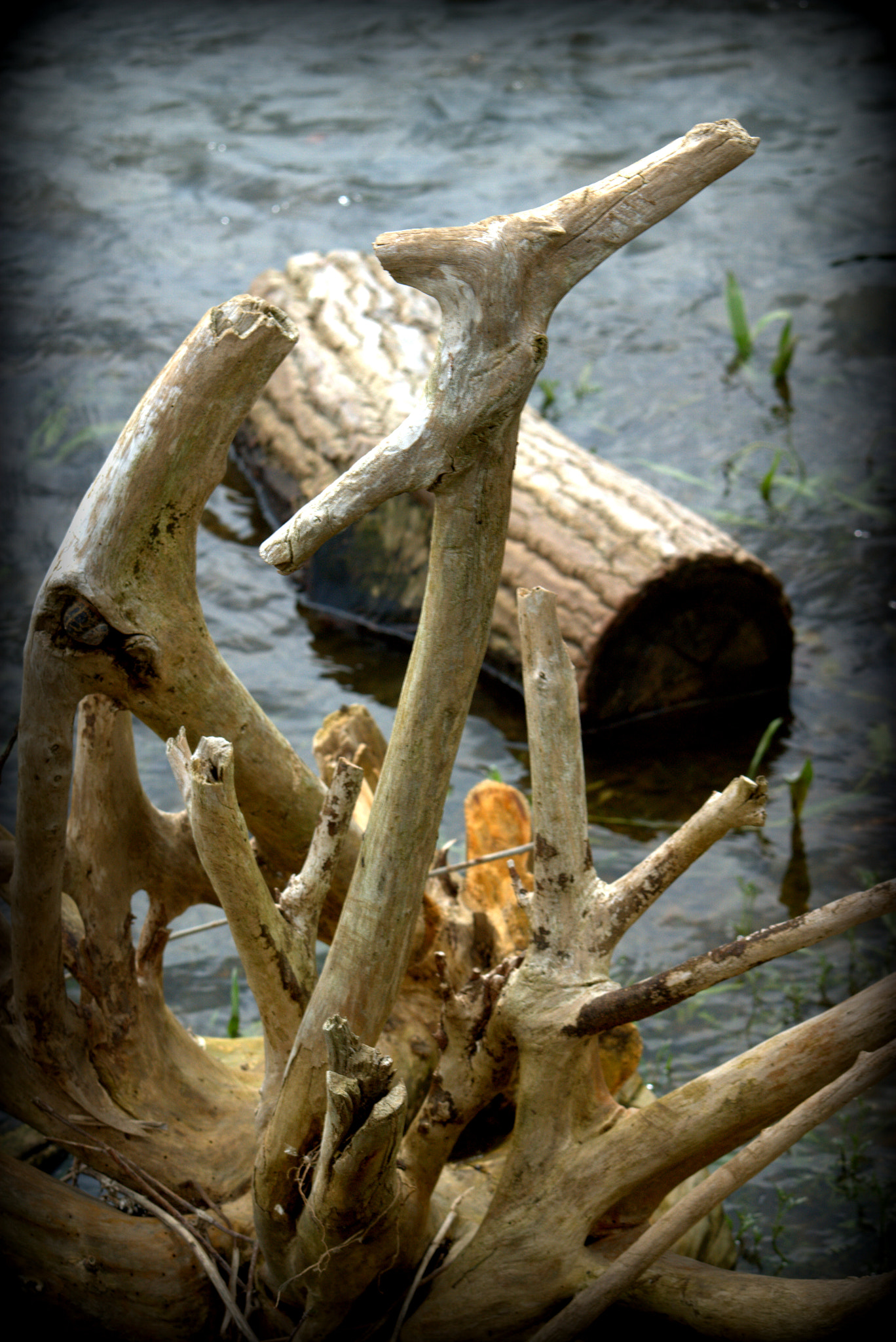 Sony Alpha DSLR-A290 + Minolta AF 70-210mm F4.5-5.6 [II] sample photo. Natural sculpture on the loire river bank photography