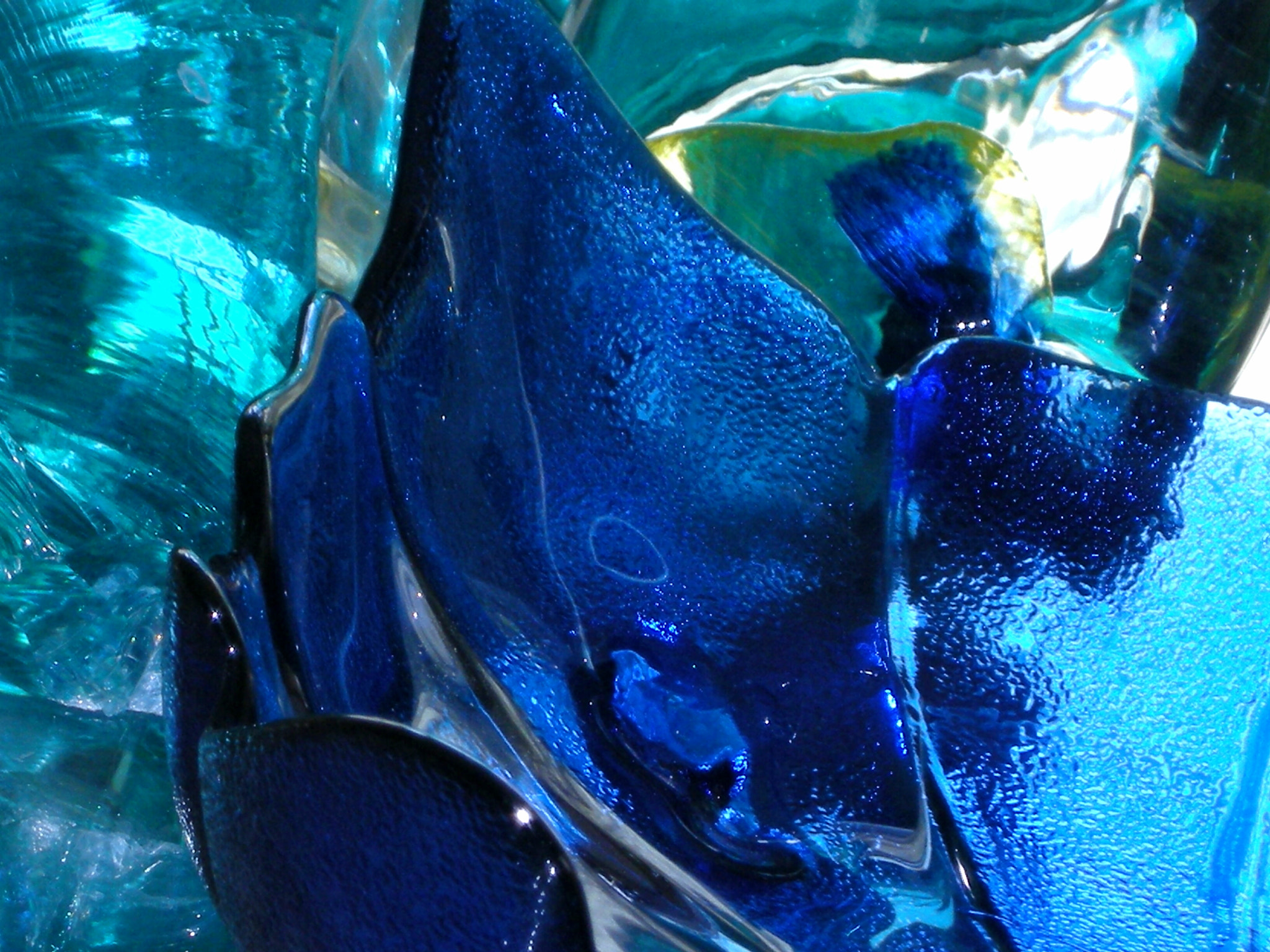 Nikon COOLPIX P5100 sample photo. Blue  photography