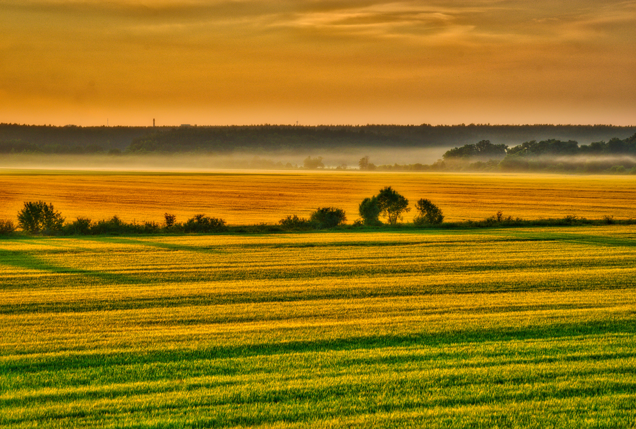 Sony a7R + Sony FE 70-200mm F4 G OSS sample photo. Sunset near sepuhov photography