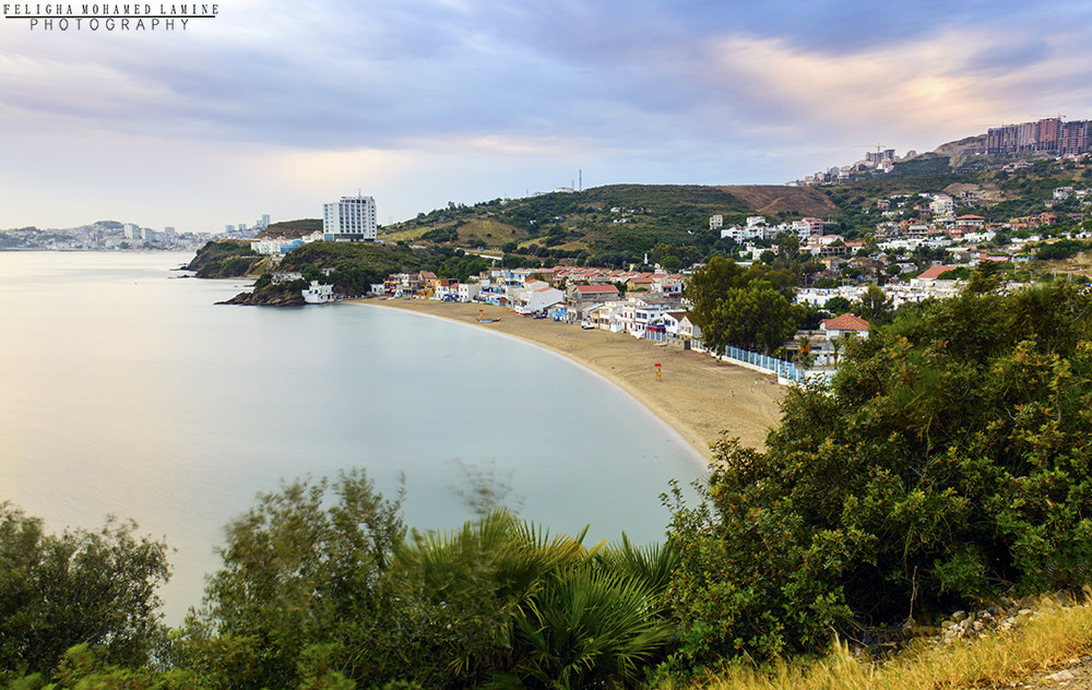Sigma 18-50mm F2.8-4.5 DC OS HSM sample photo. Annaba photography